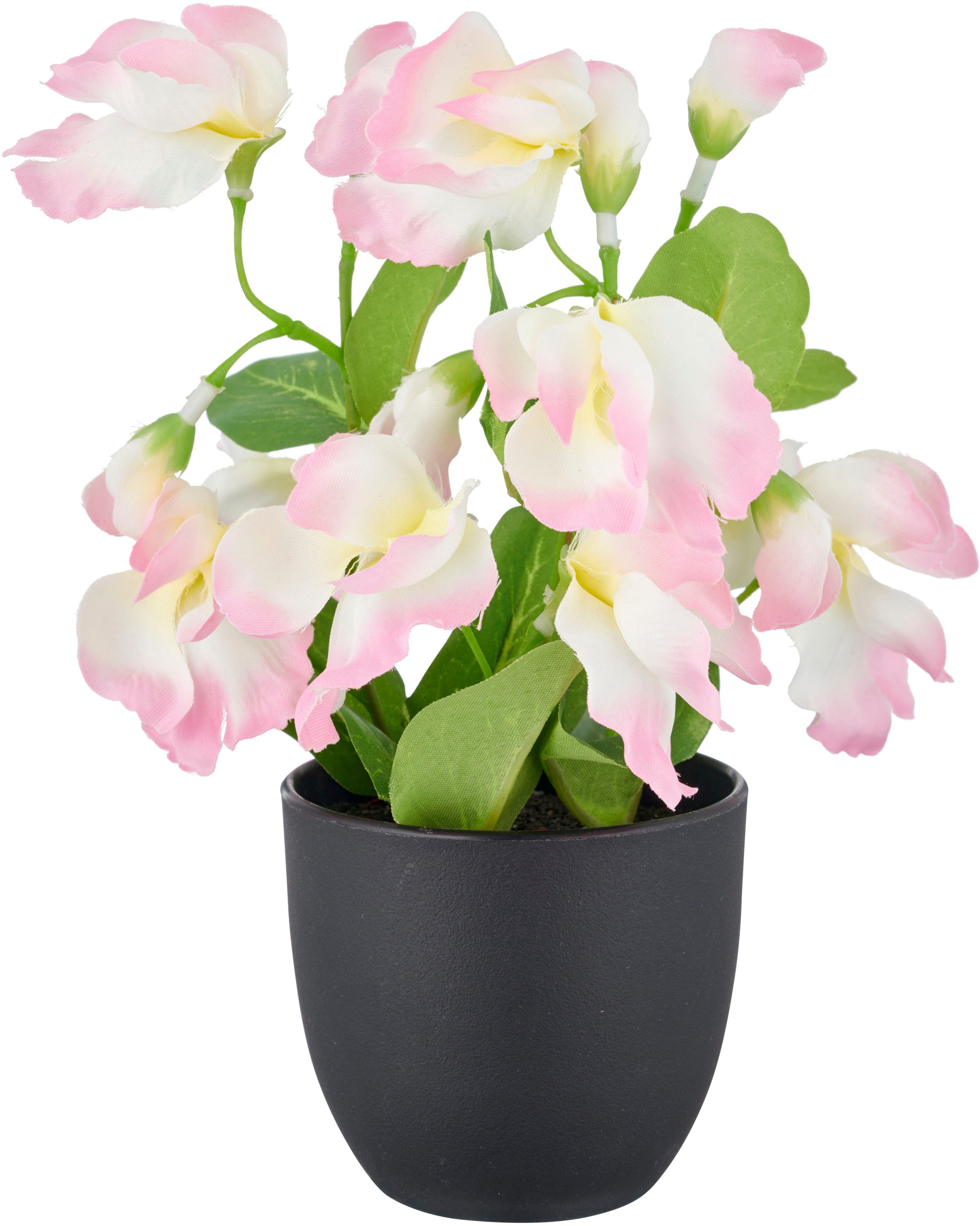 Creativ green Plante artificielle »Wicke« mit leuchtenden Blütenfarben