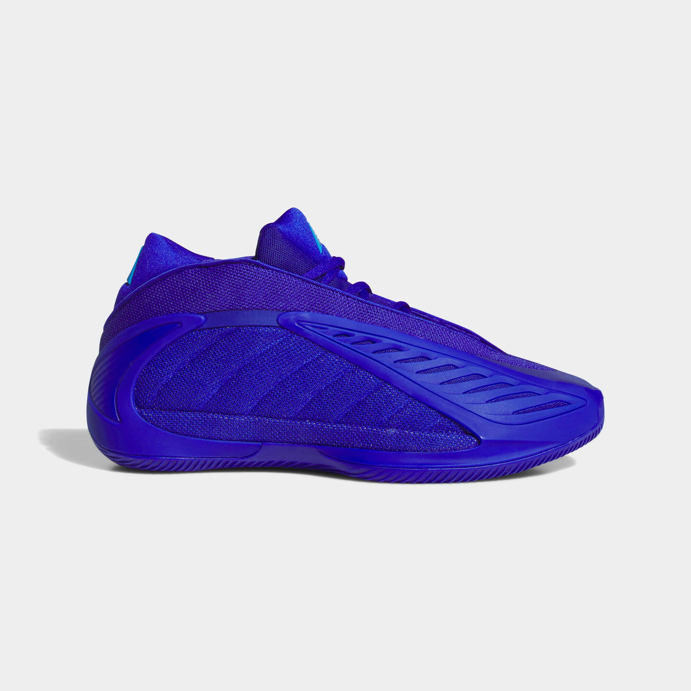 adidas Performance Chaussure de basket »ANTHONY EDWARDS 2«
