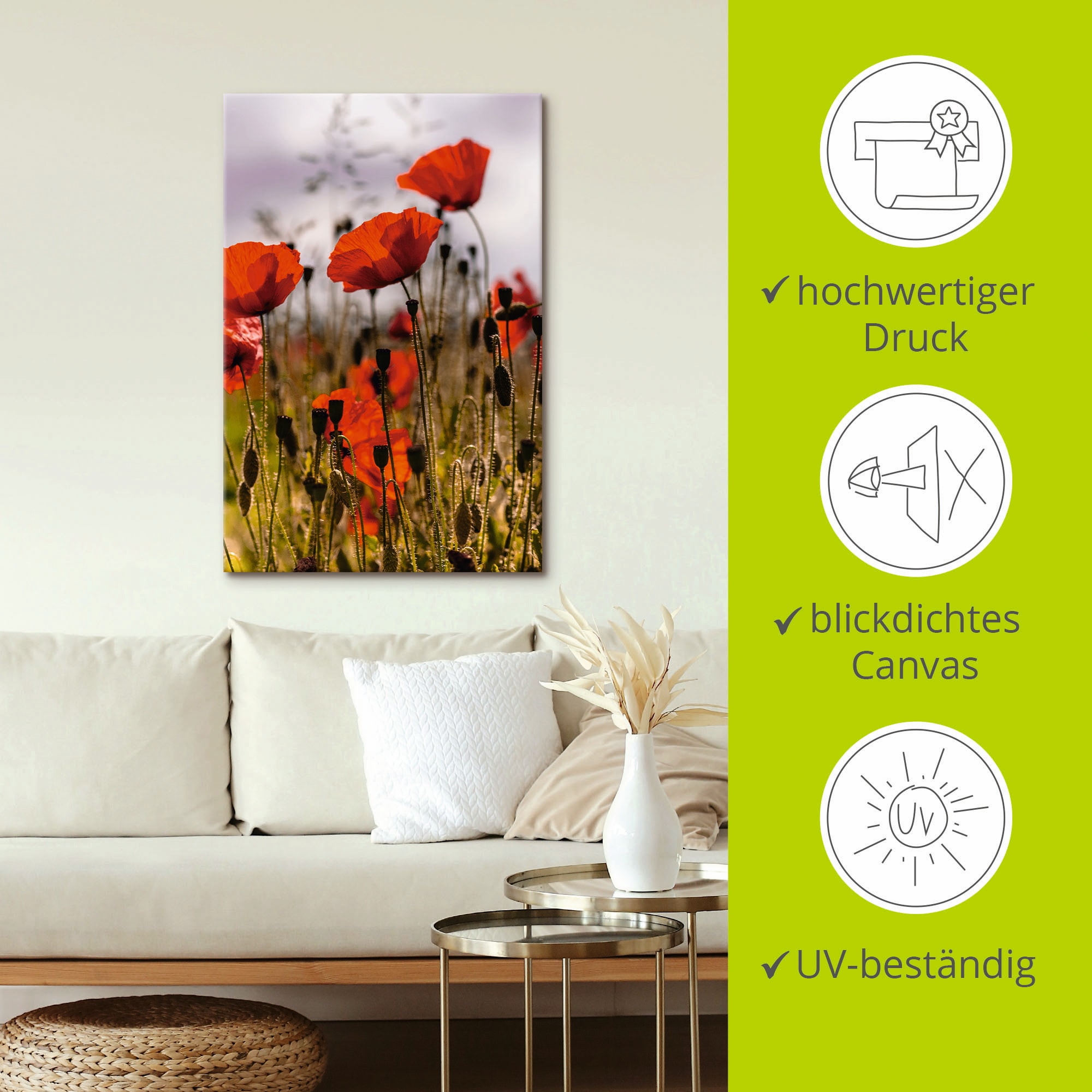 Artland Wandbild »Mohnblumen im Morgenlicht« Blumenwiese 1 Stk. tlg. als Alubild, Outdoorbild, Leinwandbild, Poster in verschied. Grössen