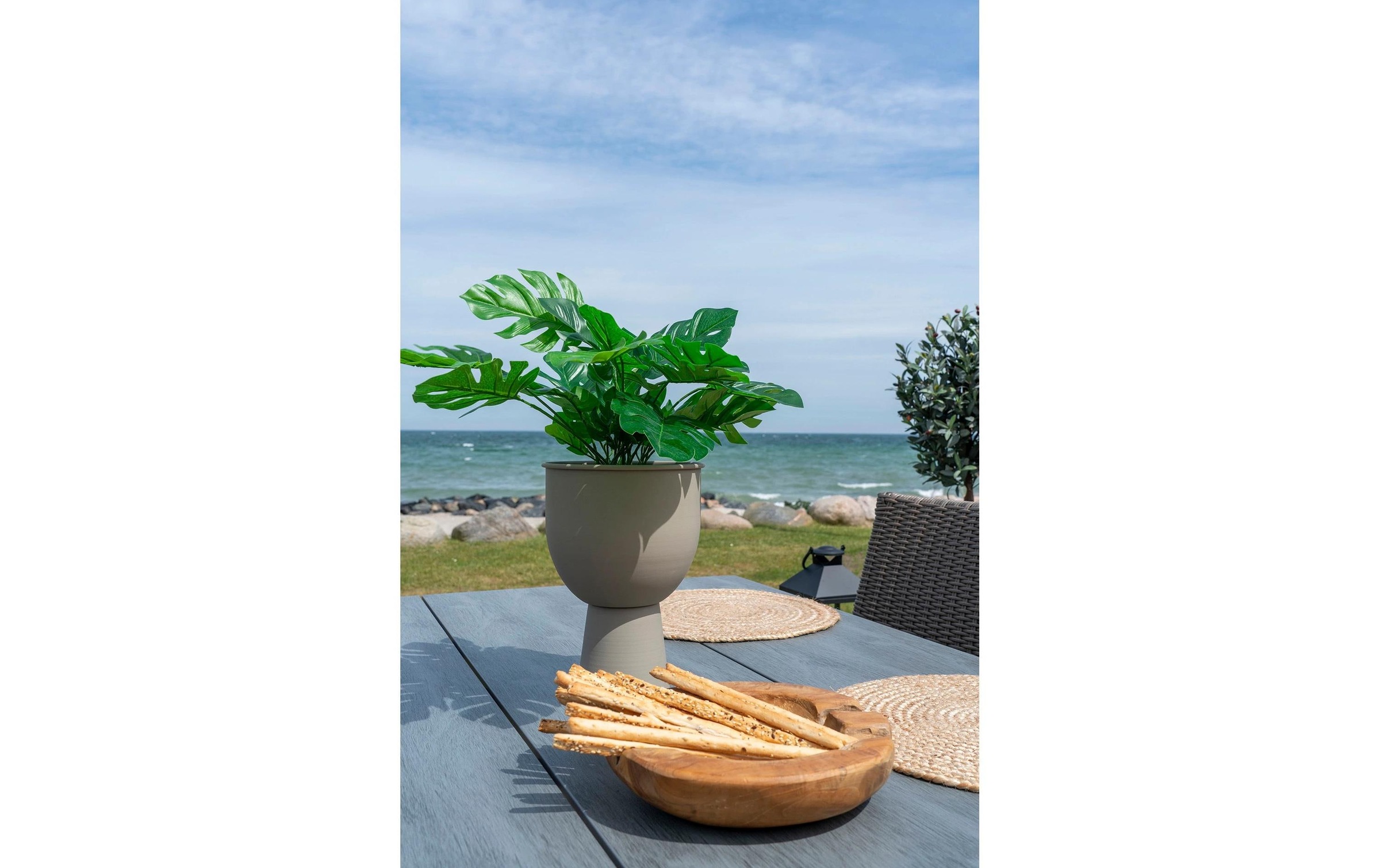 House Nordic Schale »Rio 1 Stück«