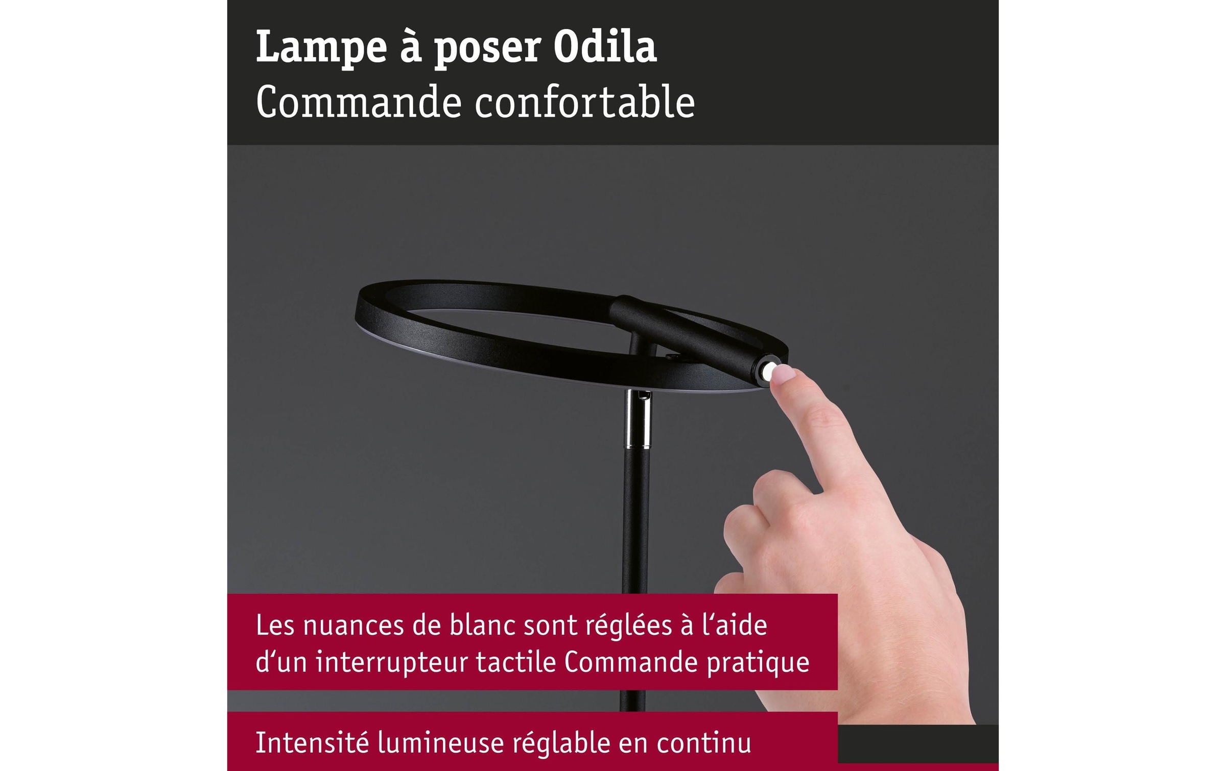 Paulmann LED Schreibtischlampe »Paulmann Schreibtischleuchte Schreibtischleuchte Odila« LED-Modul warmweiss - kaltweiss