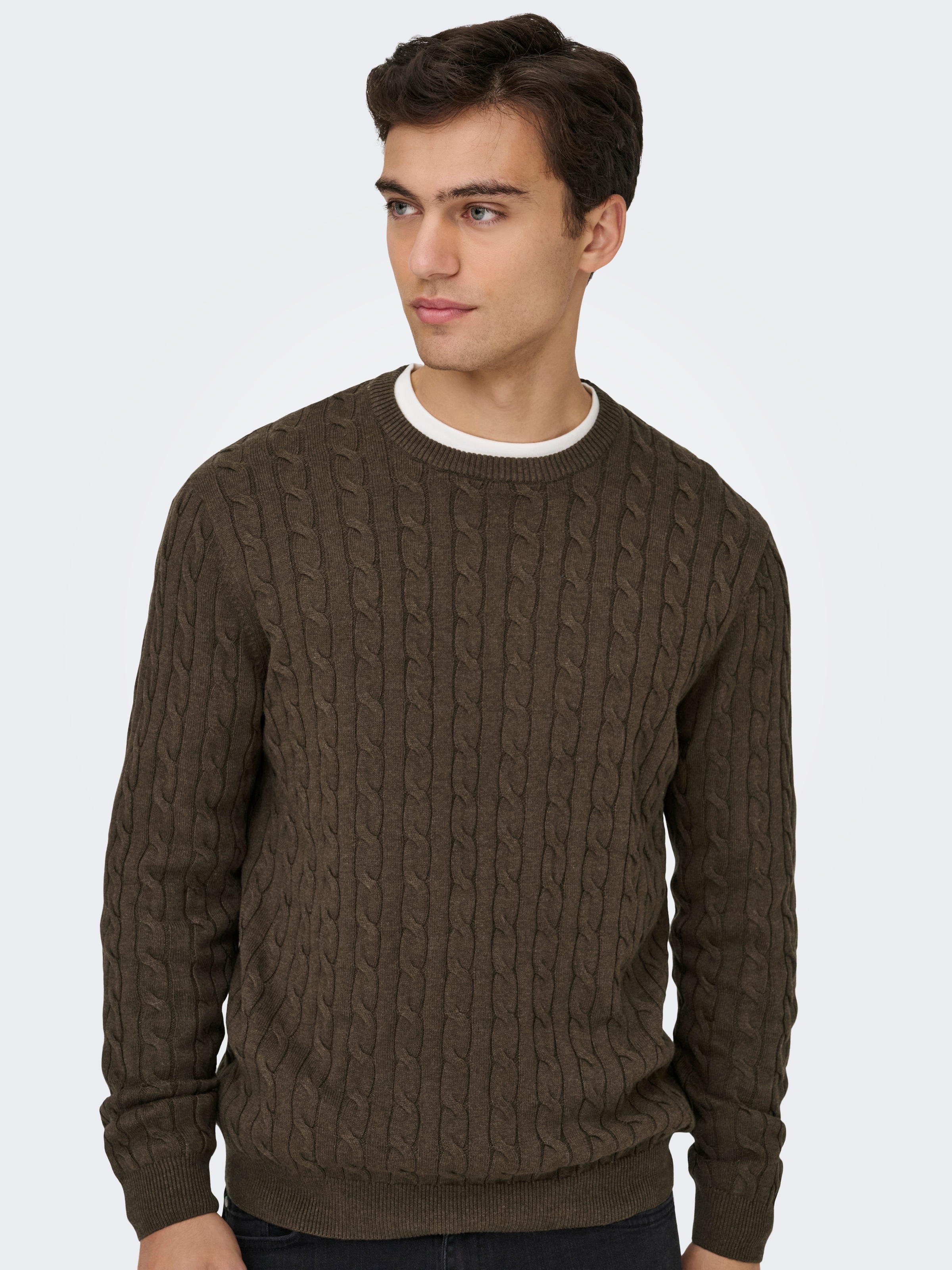ONLY & SONS Pull en tricot »ONSLOUI REG 12 CABEL CREW KNIT NOOS«