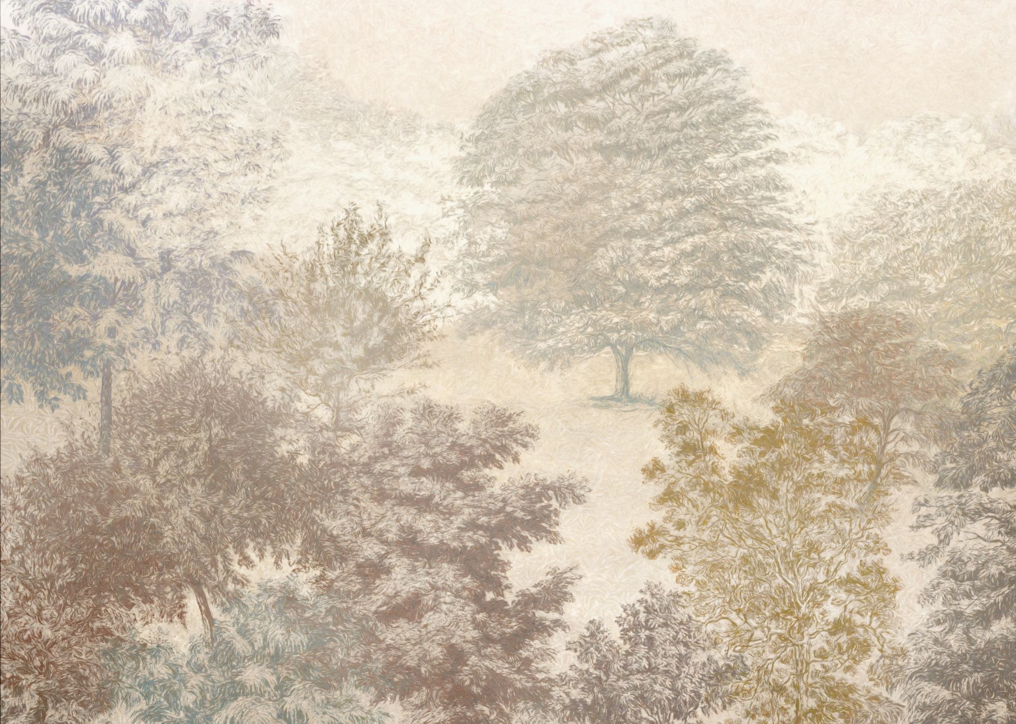 Komar Papier peint photo »Vlies Fototapete - Herbstwald - Grösse 350 x 250 cm« Motif | imprimé lisse