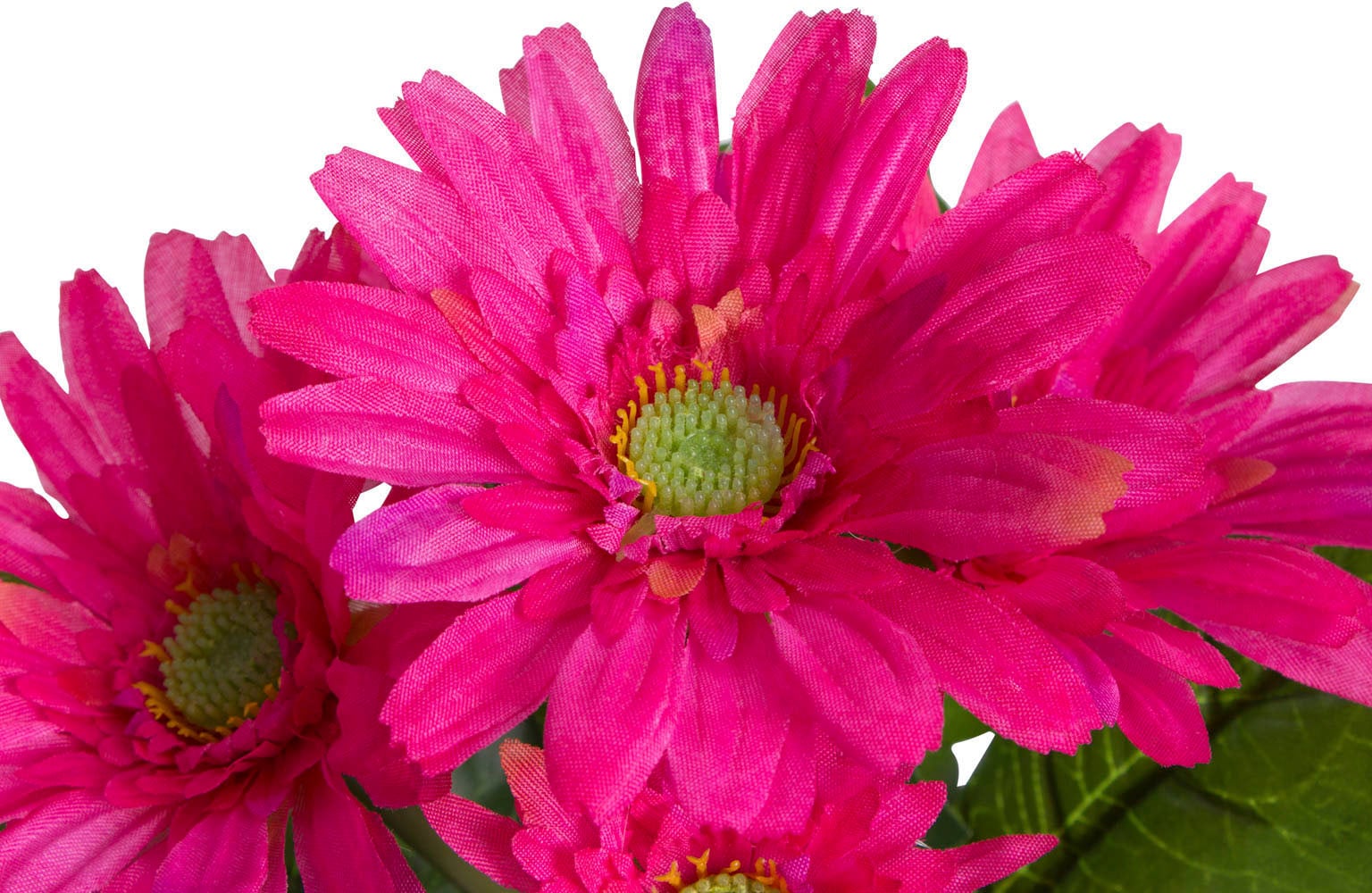 Botanic-Haus Fleur artificielle »Gerbera mit 5 Blüten«