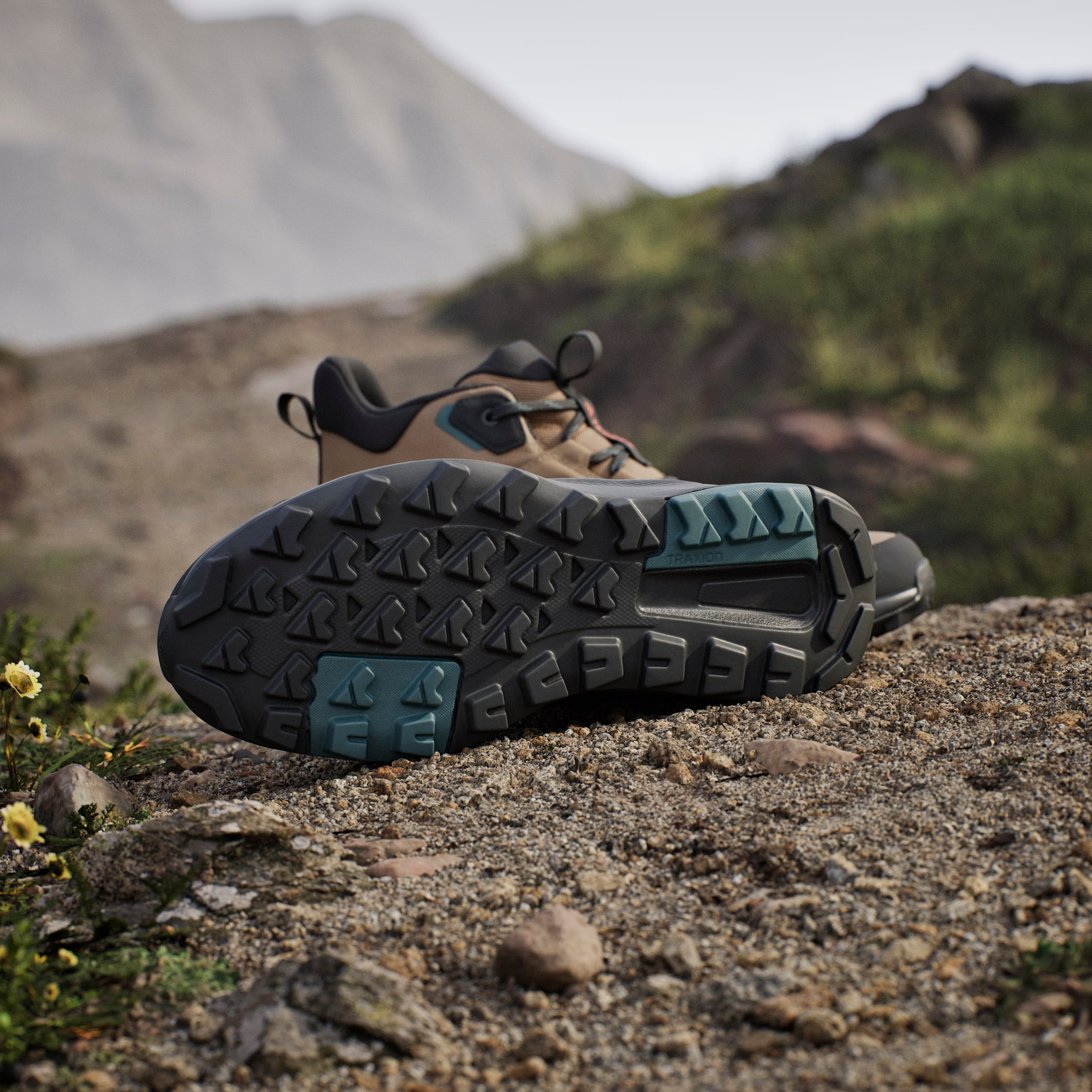 adidas TERREX Wanderschuh »TERREX ANYLANDER MID RAIN.RDY«  wasserdicht