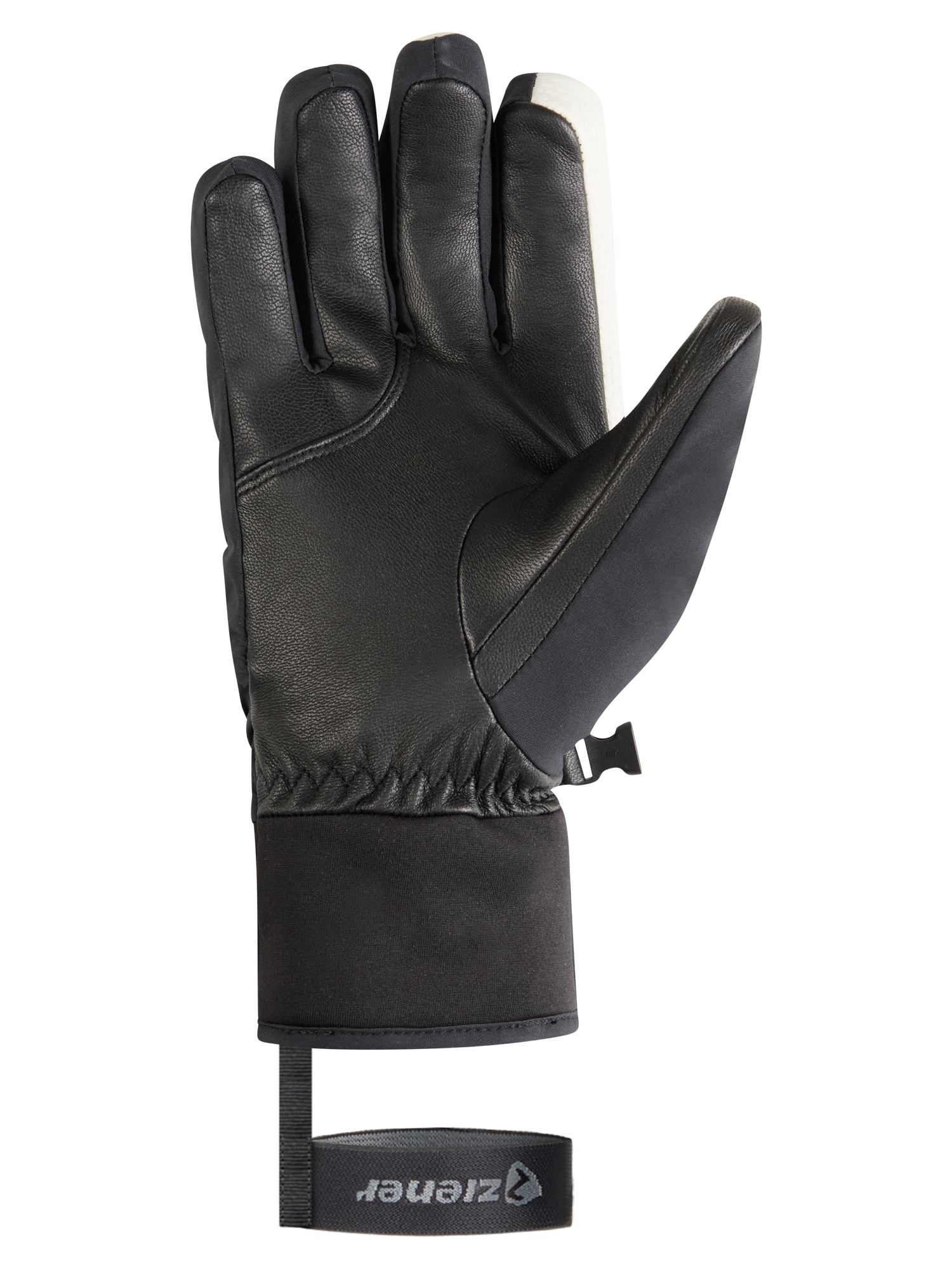 Ziener Skihandschuhe »GINOS-Z GTX PR glove man«