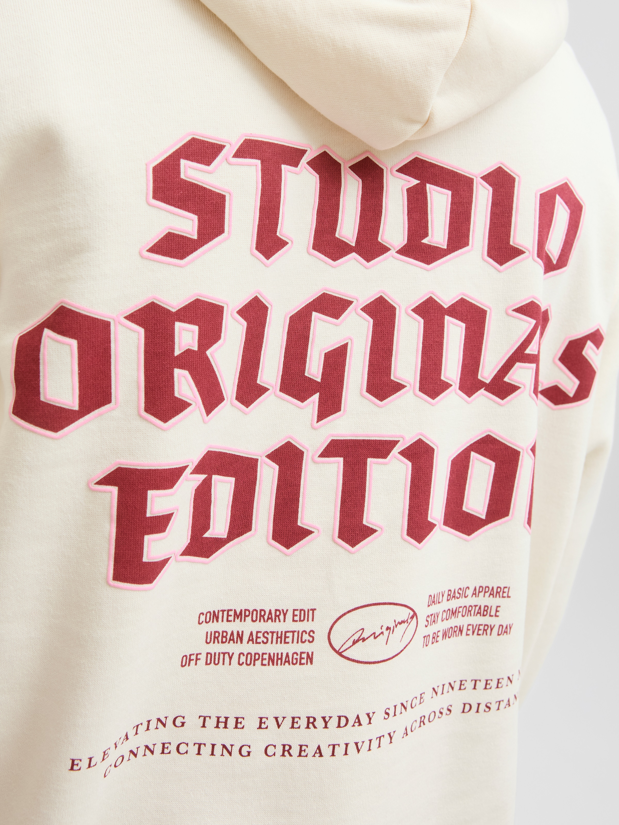 Jack & Jones PlusSize Sweat à capuche »JORMEADOWS SWEAT HOOD PLS«
