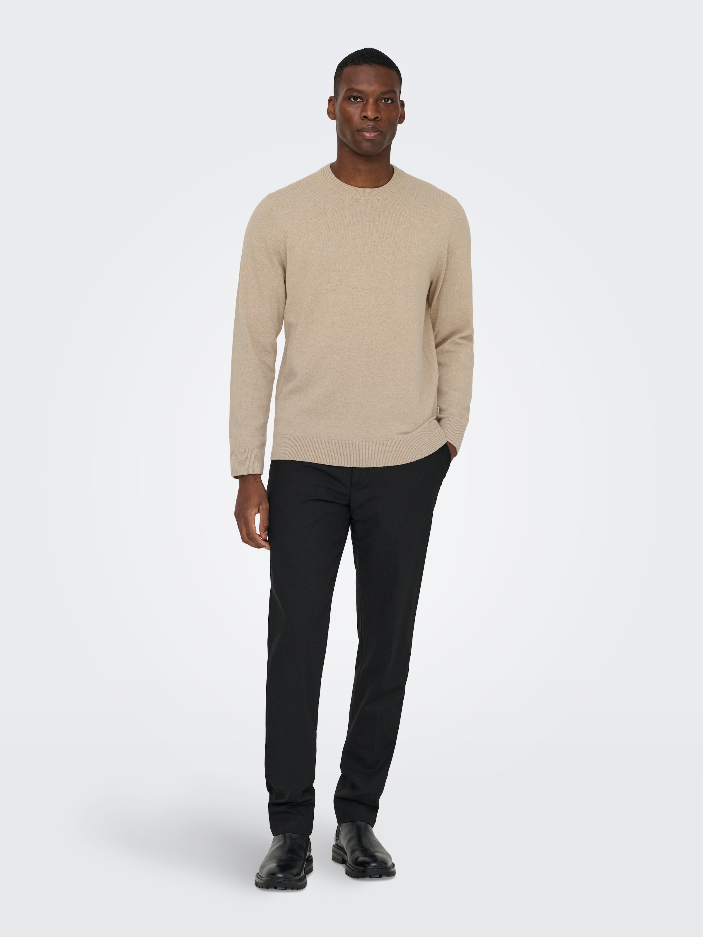 ONLY & SONS Pull à col rond »ONSREX LIFE REG 12 CREW KNIT«