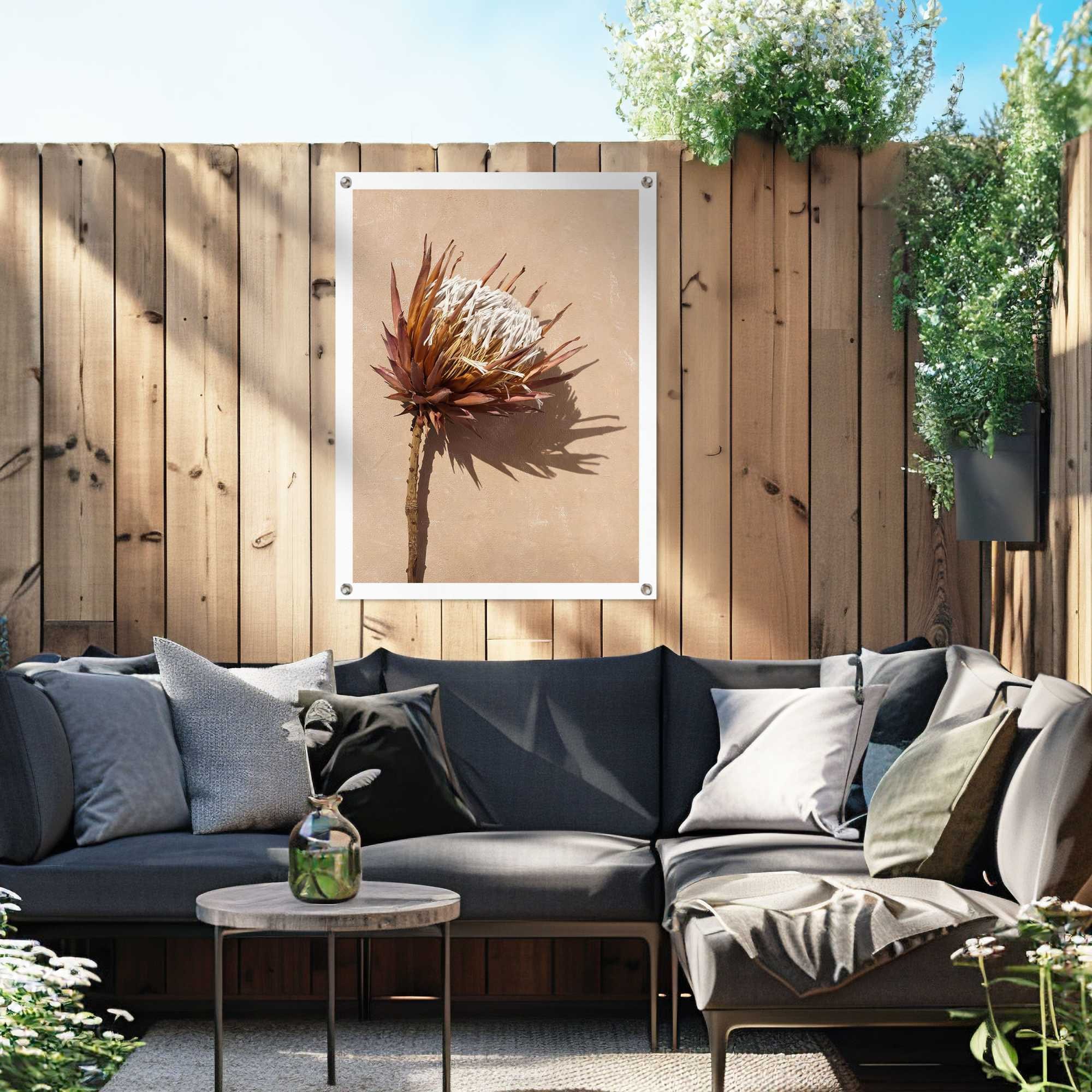 Reinders! Poster »Schattenblume« Jardin - Fleurs séchées - Exotique - Marron - Toile - Fleurs