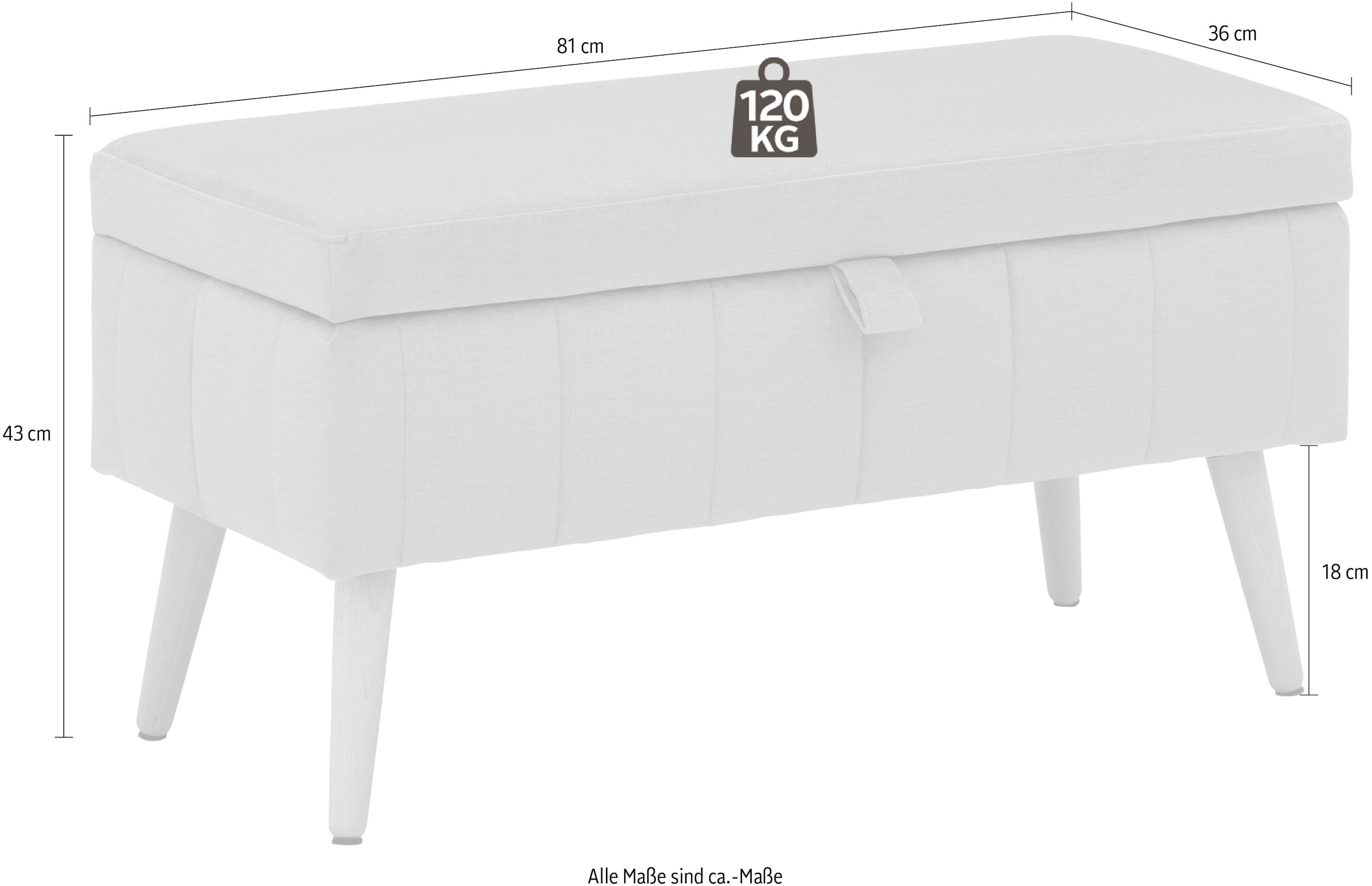GOODproduct Banc coffre »AMIRA Sitzbank mit Stauraum, Masse B/T/H: 81/36/43 cm« avec compartiment de rangement, en 3 qualités de revêtement avec fine piqûre
