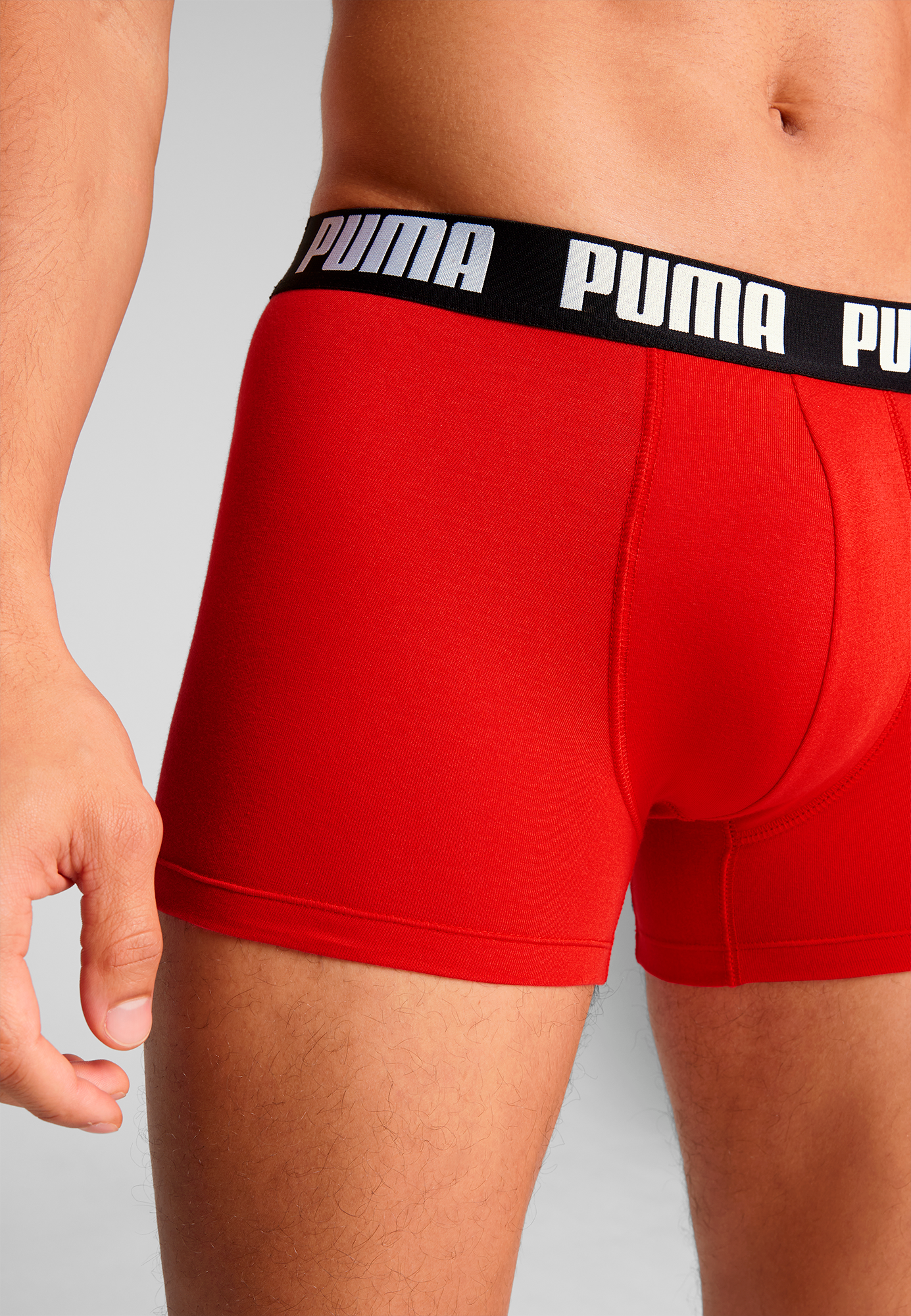PUMA Boxershorts »PUMA MEN EVERYDAY BASIC BOXERS 2P« Packung,  mit Puma Webbund