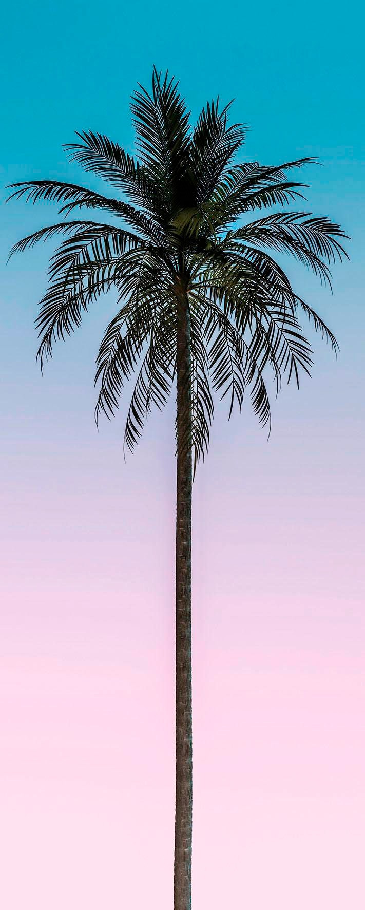 Komar Papier peint intissé (Breite x Höhe), Vliestapete, 100 cm Bahnbreite