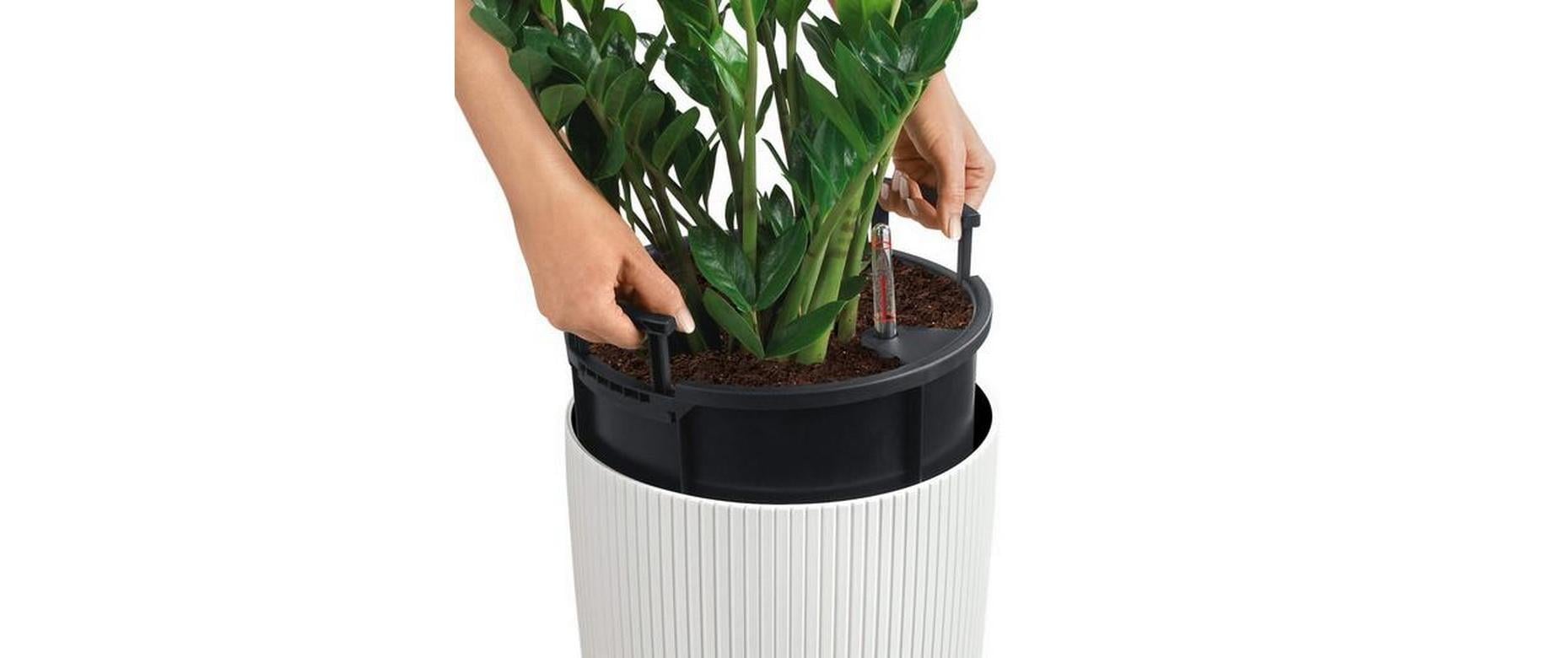   Bac à plantes »Lechuza CILINDRO Color 23«