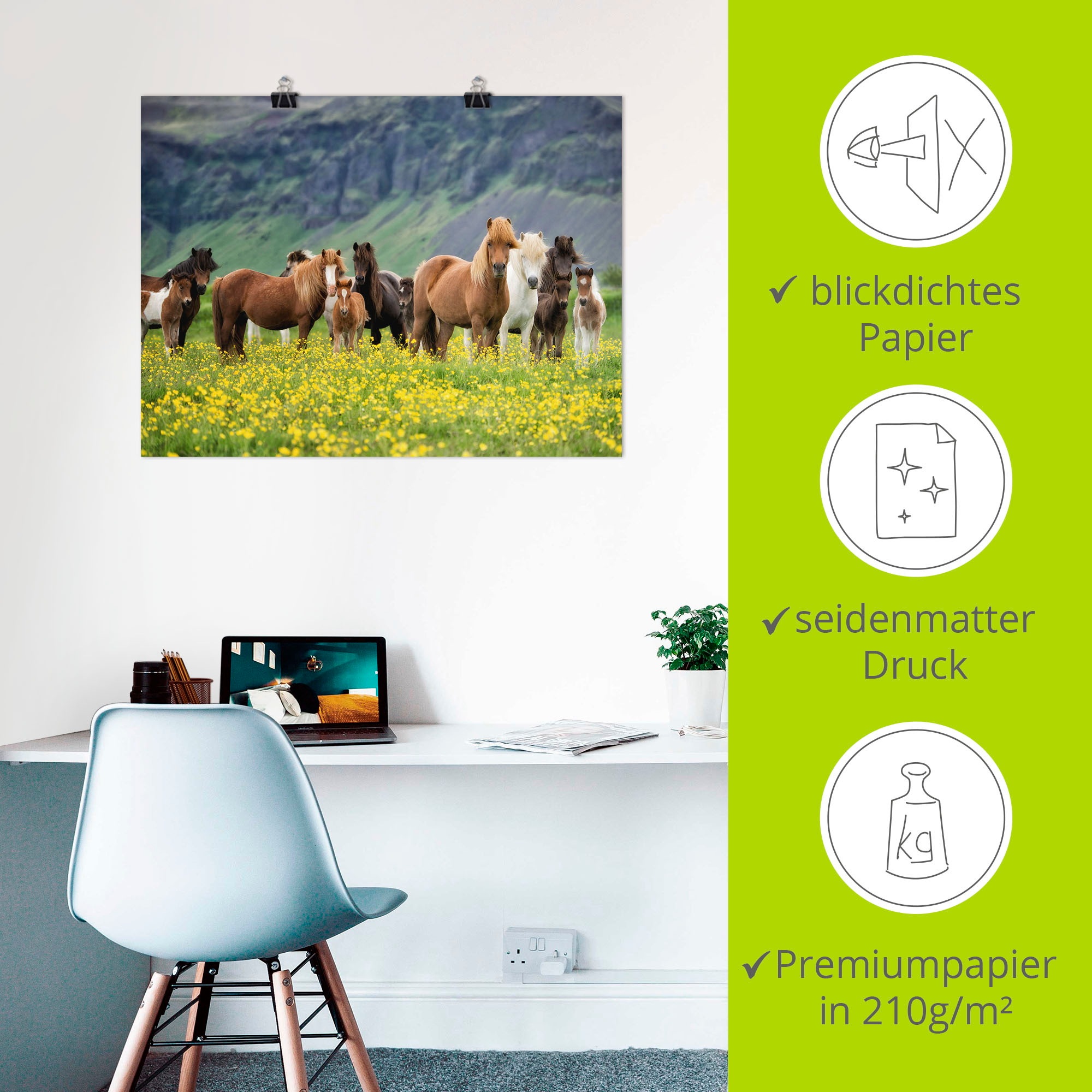 Artland Fresque murale »Isländische Pferde VII« 1 cuis tlg. als Leinwandbild, Poster in verschied. Grössen