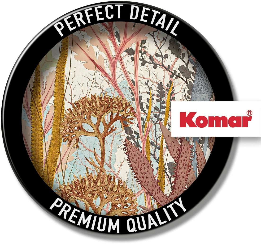 Komar Vliestapete »Digitaldruck Vlies -  Catchy Corals - Grösse 200 x 250 cm« bedruckt glatt Wohnzimmer, Schlafzimmer