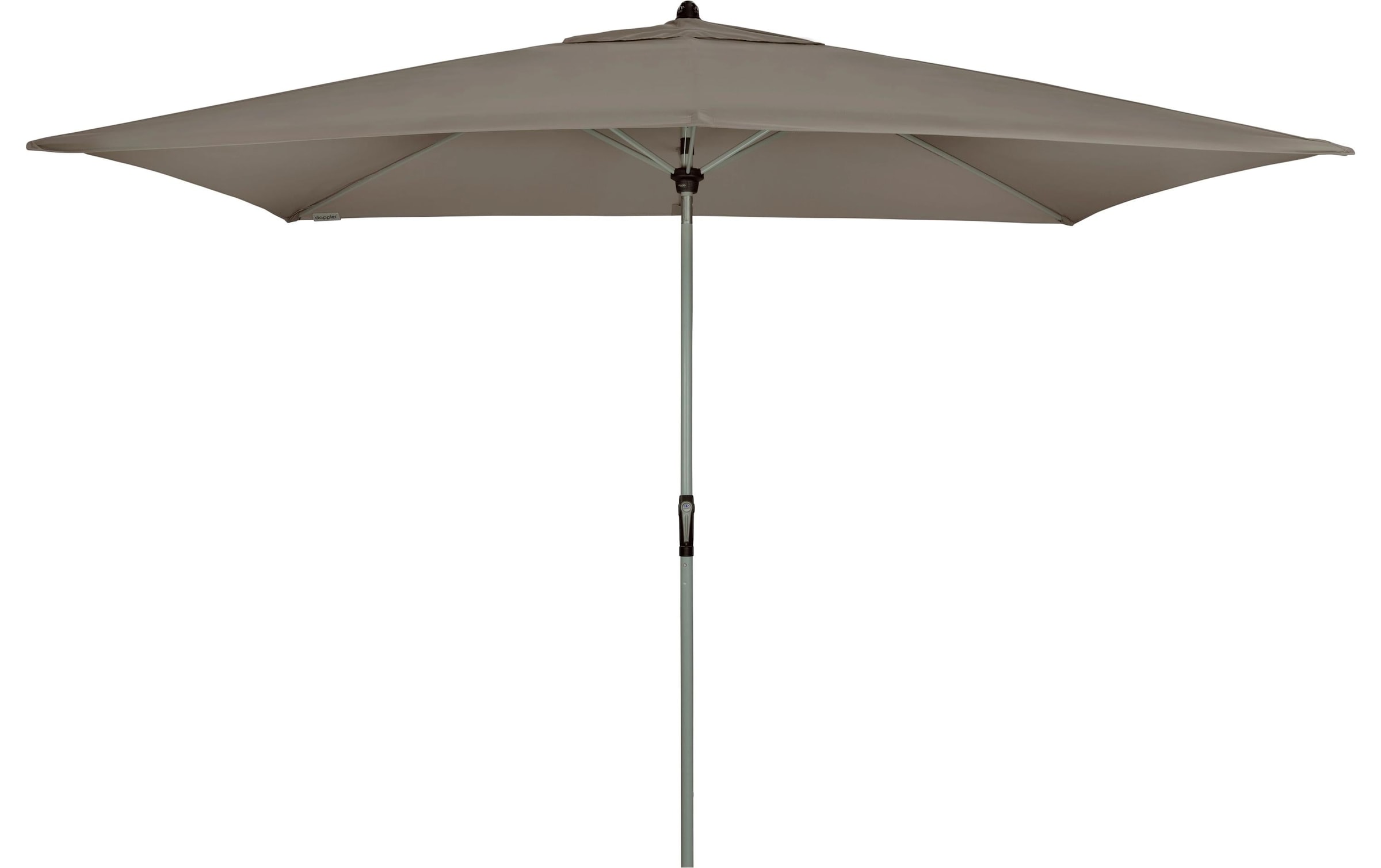   Parasol