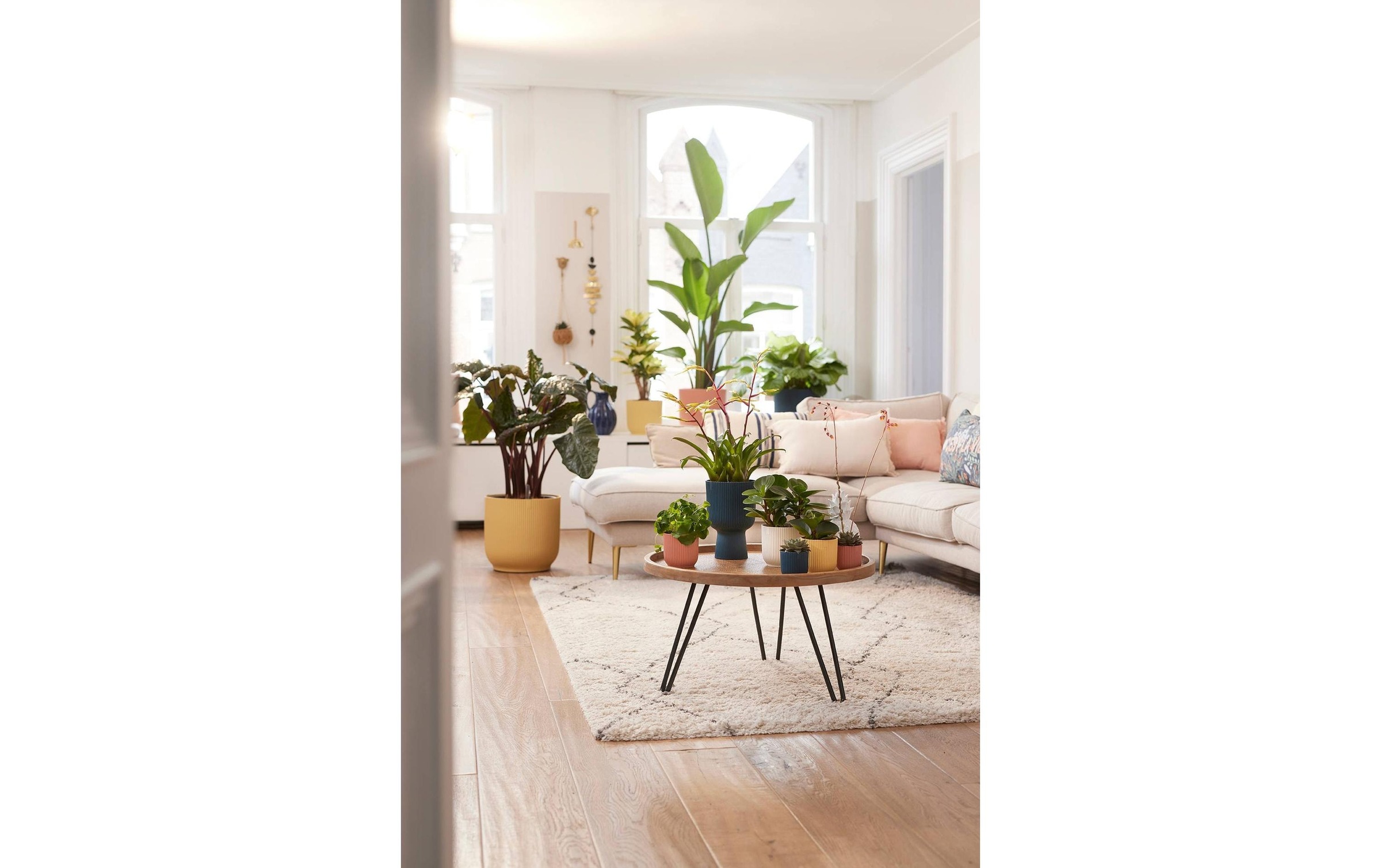 Elho Pot de fleurs »Vibes Fold Rund 30 cm«
