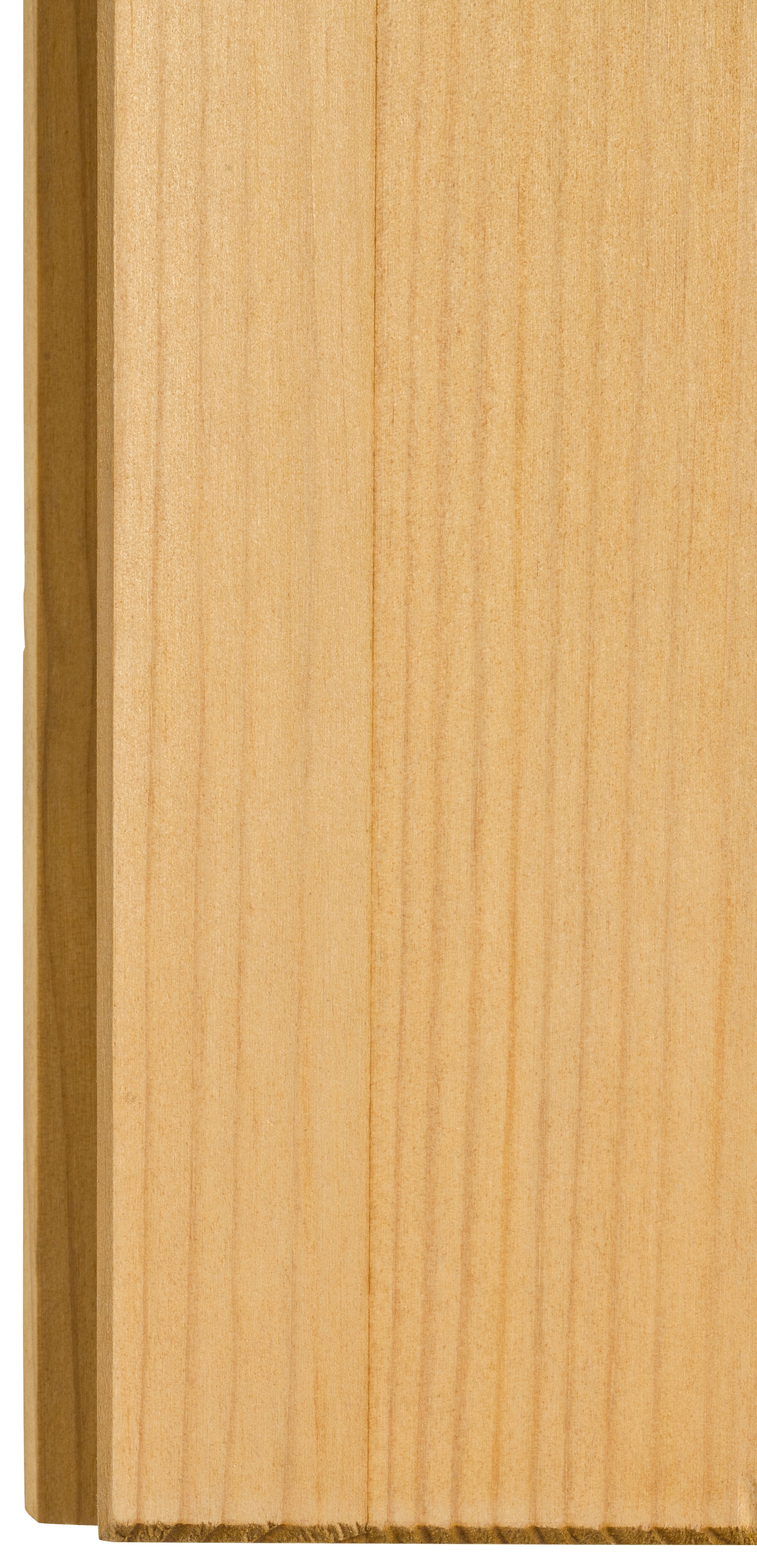 Home affaire Hängeschrank »Alby« Breite 50 cm, 1 Tür