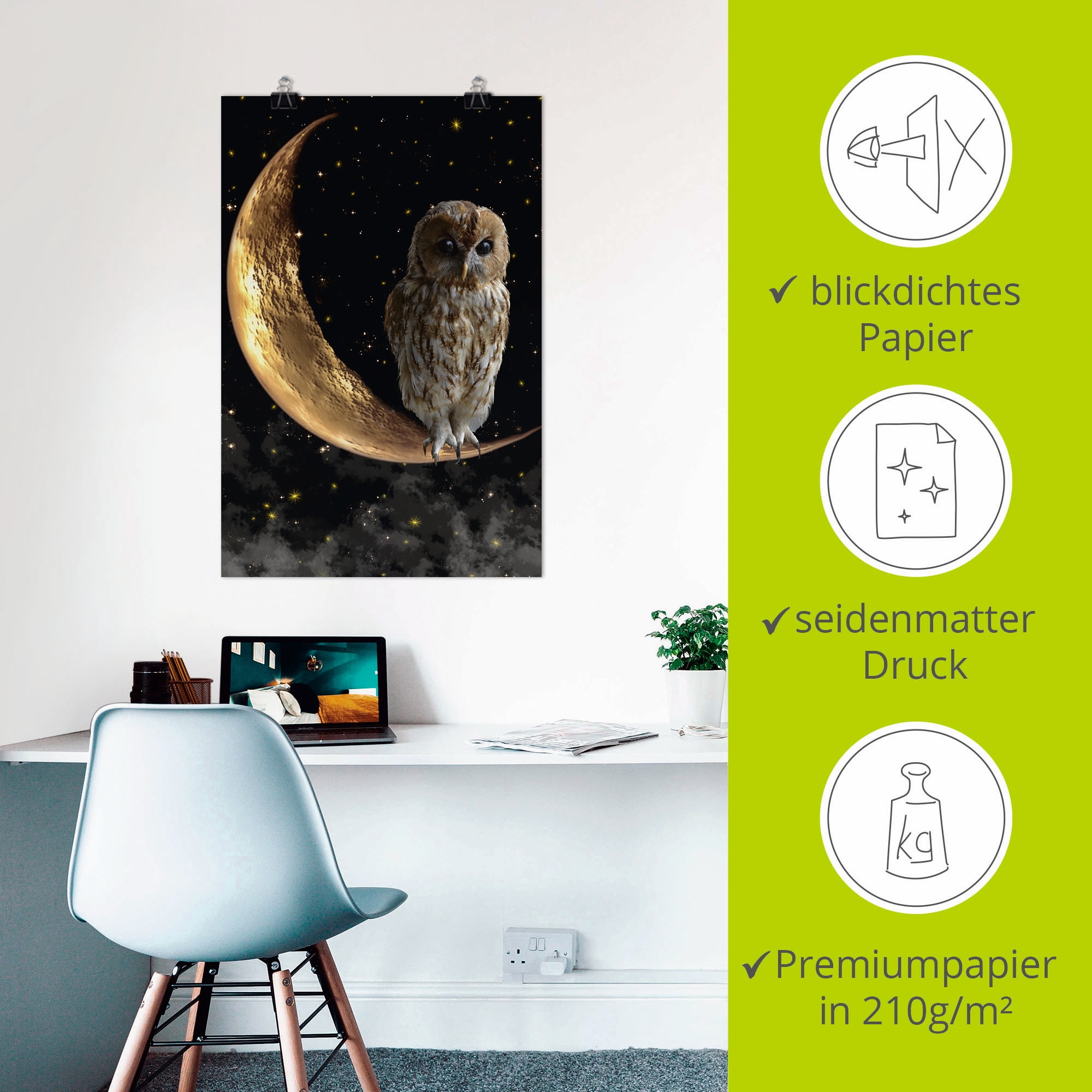 Artland Fresque murale »Nachteule« 1 cuis tlg. als Alubild, Leinwandbild, Poster in verschied. Grössen