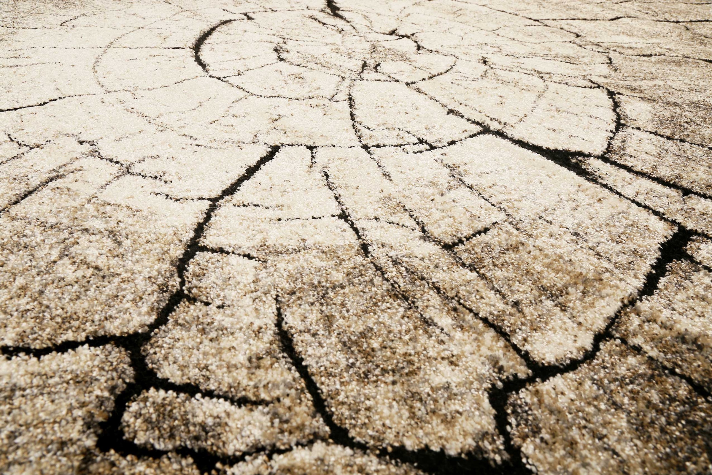 Wecon home Tapis »Wild Oak« Rectangulaire 13 mm Höhe Holz Optik, Wohnzimmer