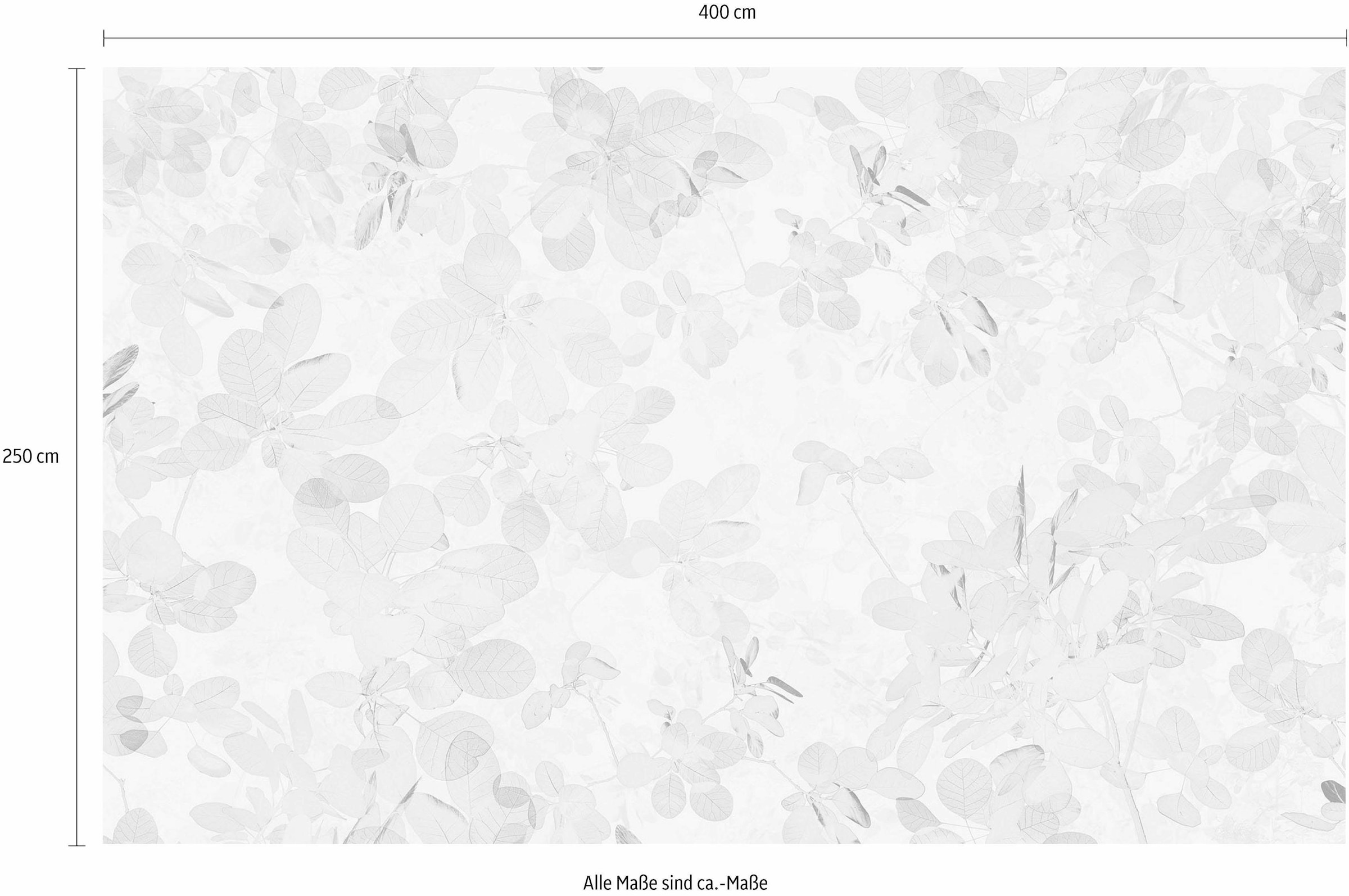 Komar Papier peint intissé »Digitaldruck Vlies -  Sheer Grey - Grösse 400 x 250 cm« imprimé Wohnzimmer, Schlafzimmer