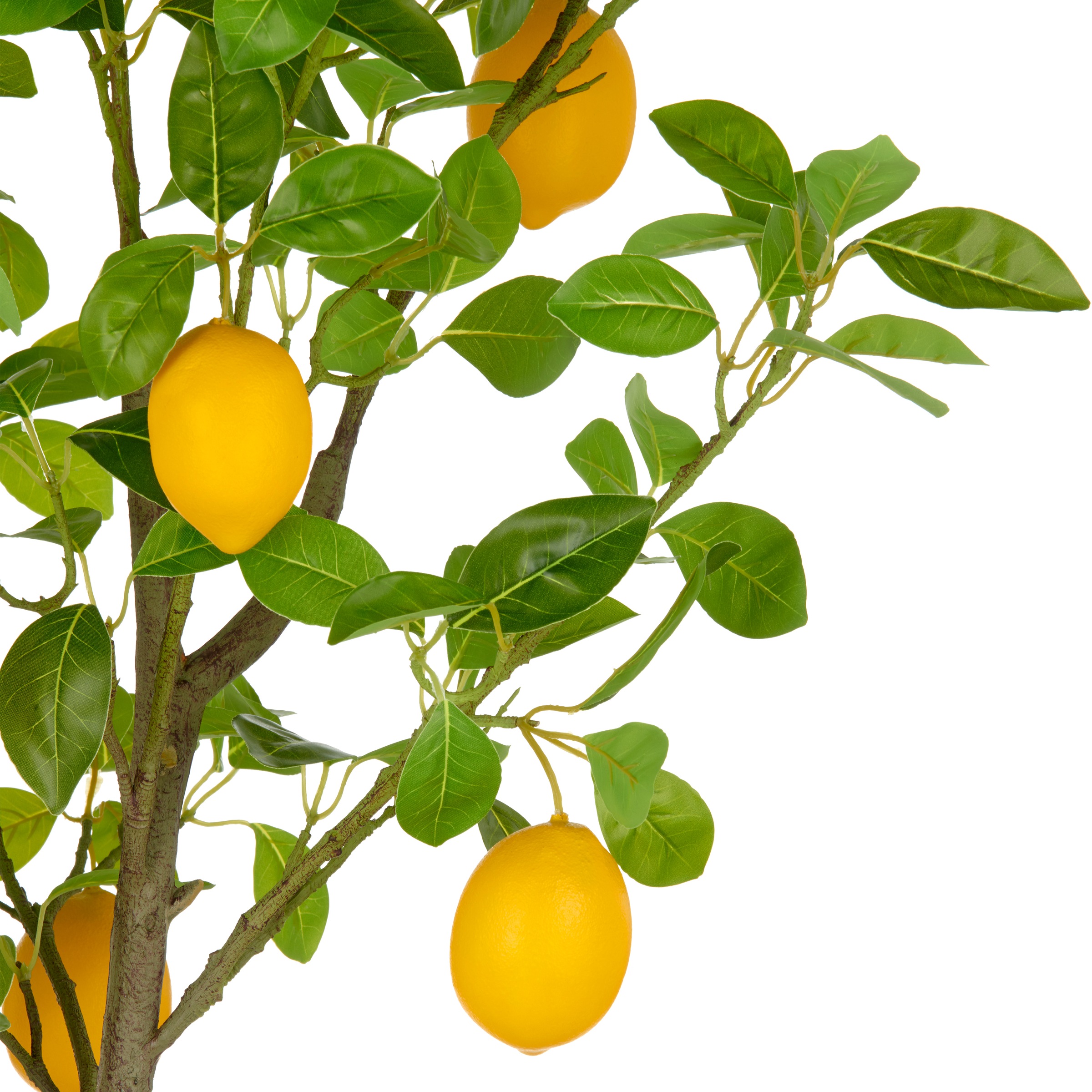 Creativ green Kunstbaum »Zitrone« mit detailgetreuer Gestaltung