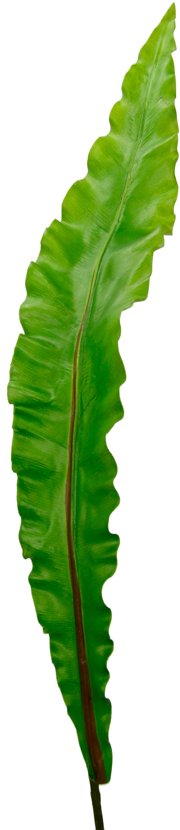 I.GE.A. Plante artificielle »Nestfarnblatt« Monstera, Kunstzweig, 3er Set