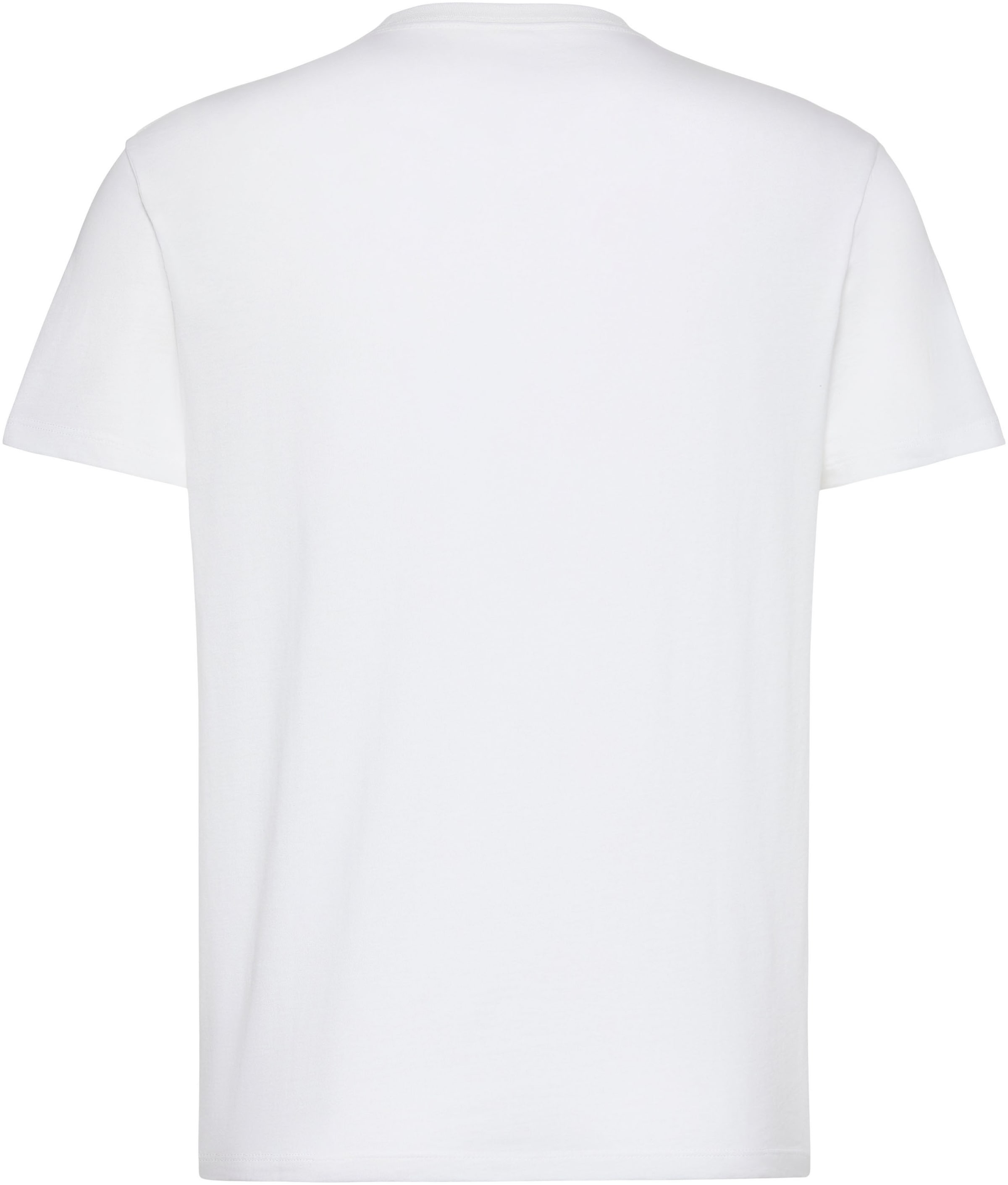 Calvin Klein Jeans T-shirt »GRAPHIC TEE« Regular fit mit Rundhalsausschnitt