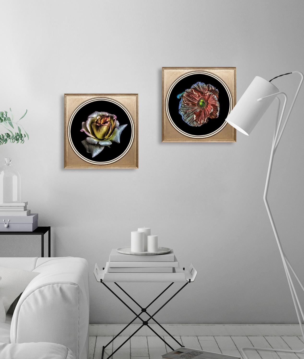 queence Acrylglasbild »Rose« Blumenbilder | Gemälde | Kunst | Pflanzen | Pflanzenbilder Fine Art-Print in Galeriequalität