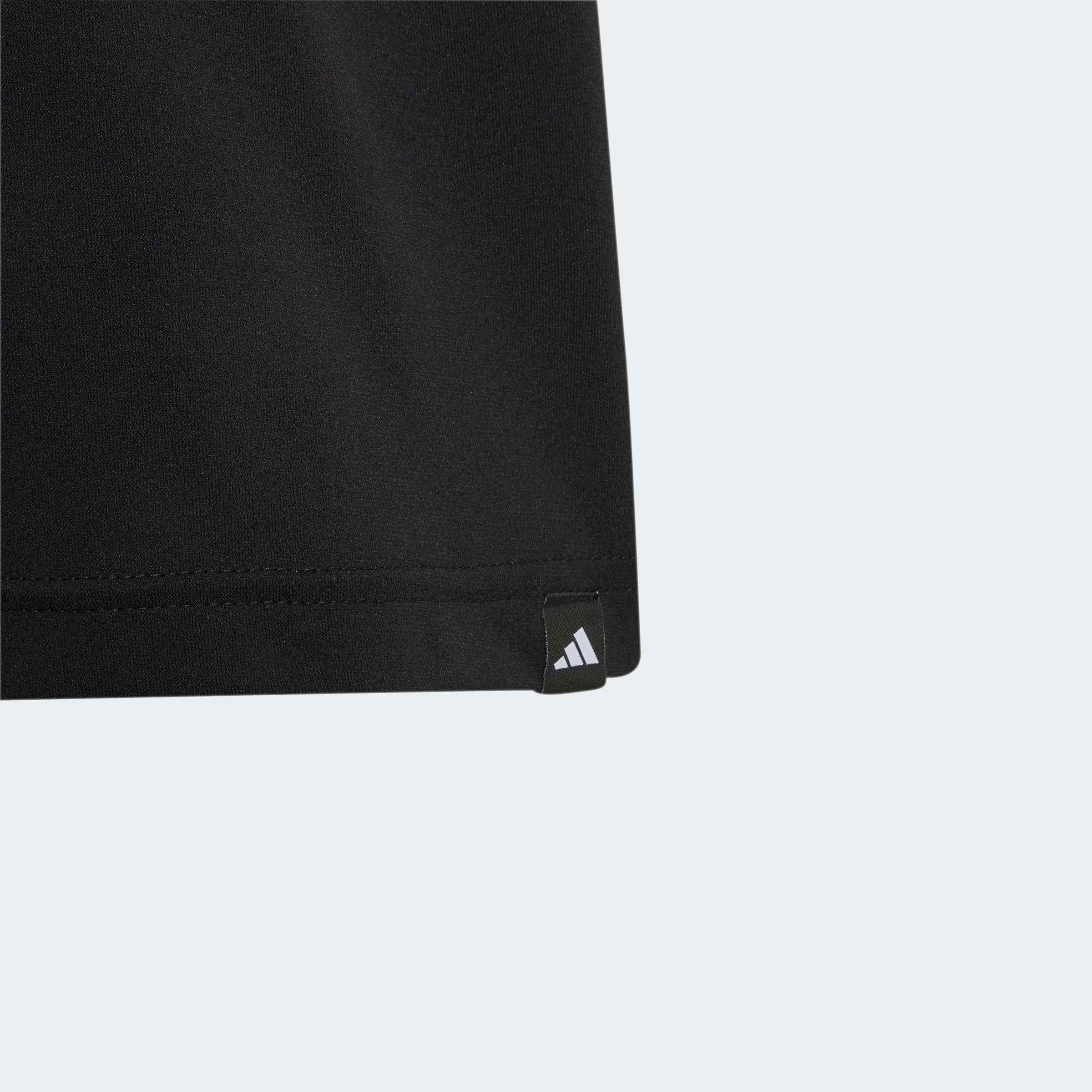 adidas TERREX Funktionsshirt »KIDS XPLORIC GRAPHIC TECH« mit climacool® Technologie, Kurzarm, ohne Verschluss, für Kinder