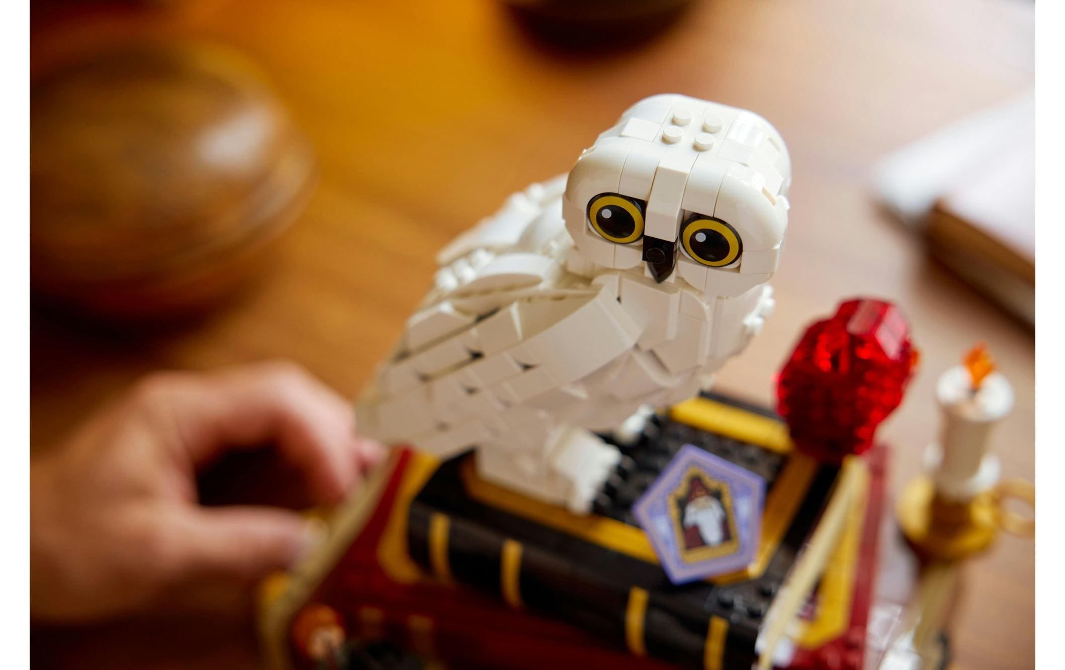   Pions de construction »Harry Potter Stein der Weisen – Sammleredition 76466« Kategorie: Film