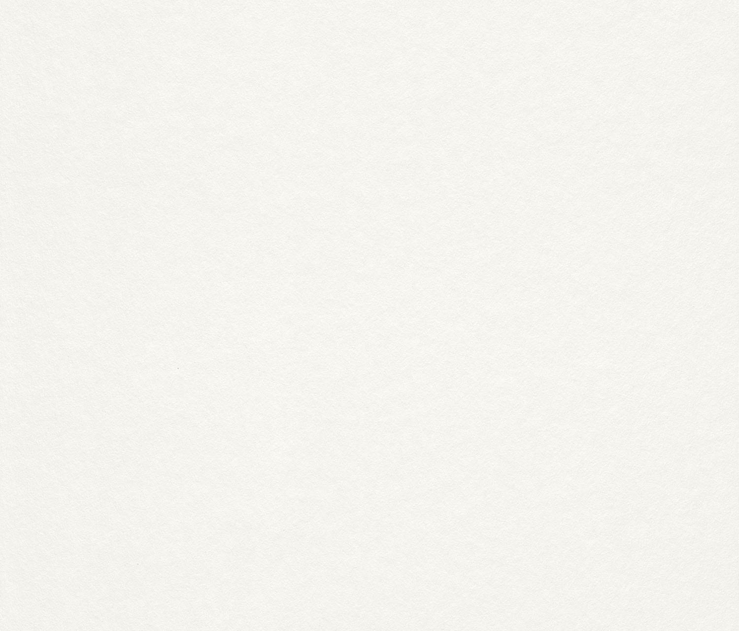 Rasch Vliestapete »Makulaturvlies« uni geprägt