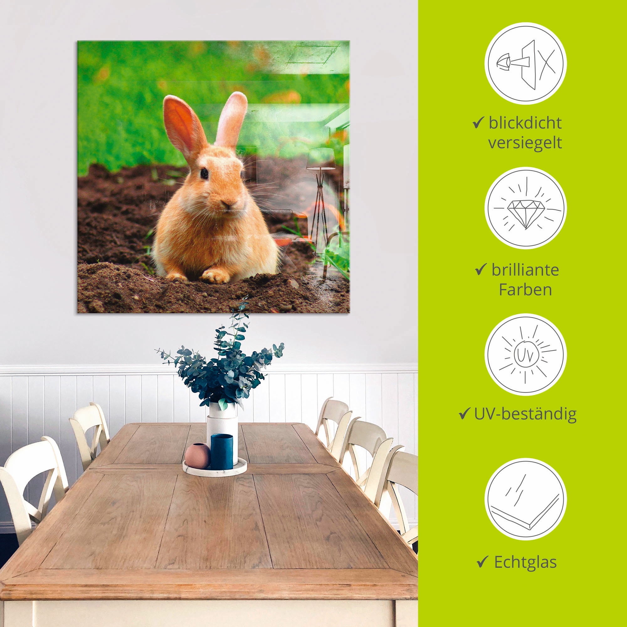 Artland Glasbild »Glückliches Zwergkaninchen« Wildtiere 1 Stk. tlg. in verschiedenen Grössen