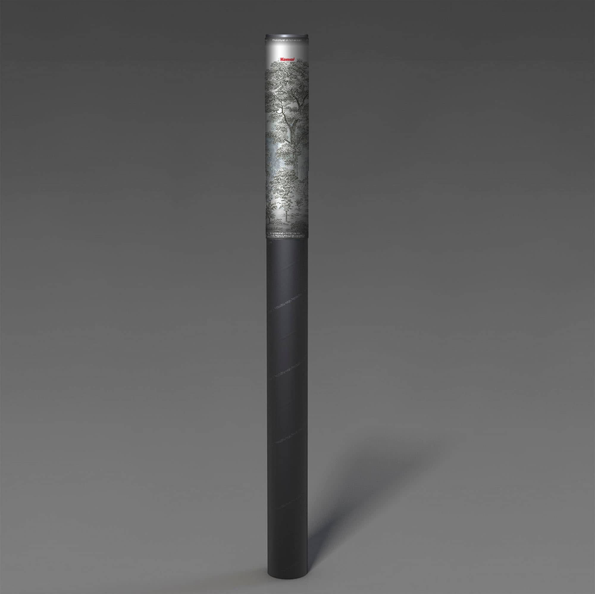 Komar Papier peint intissé »Digitaldruck Vlies -  Rising Roots - Grösse 200 x 250 cm« imprimé Wohnzimmer, Schlafzimmer