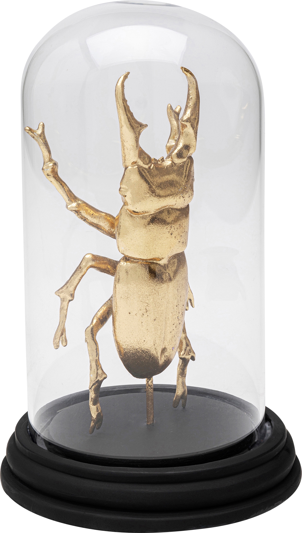 Kare Design Objet décoratif »Hercules Beetle 20cm«