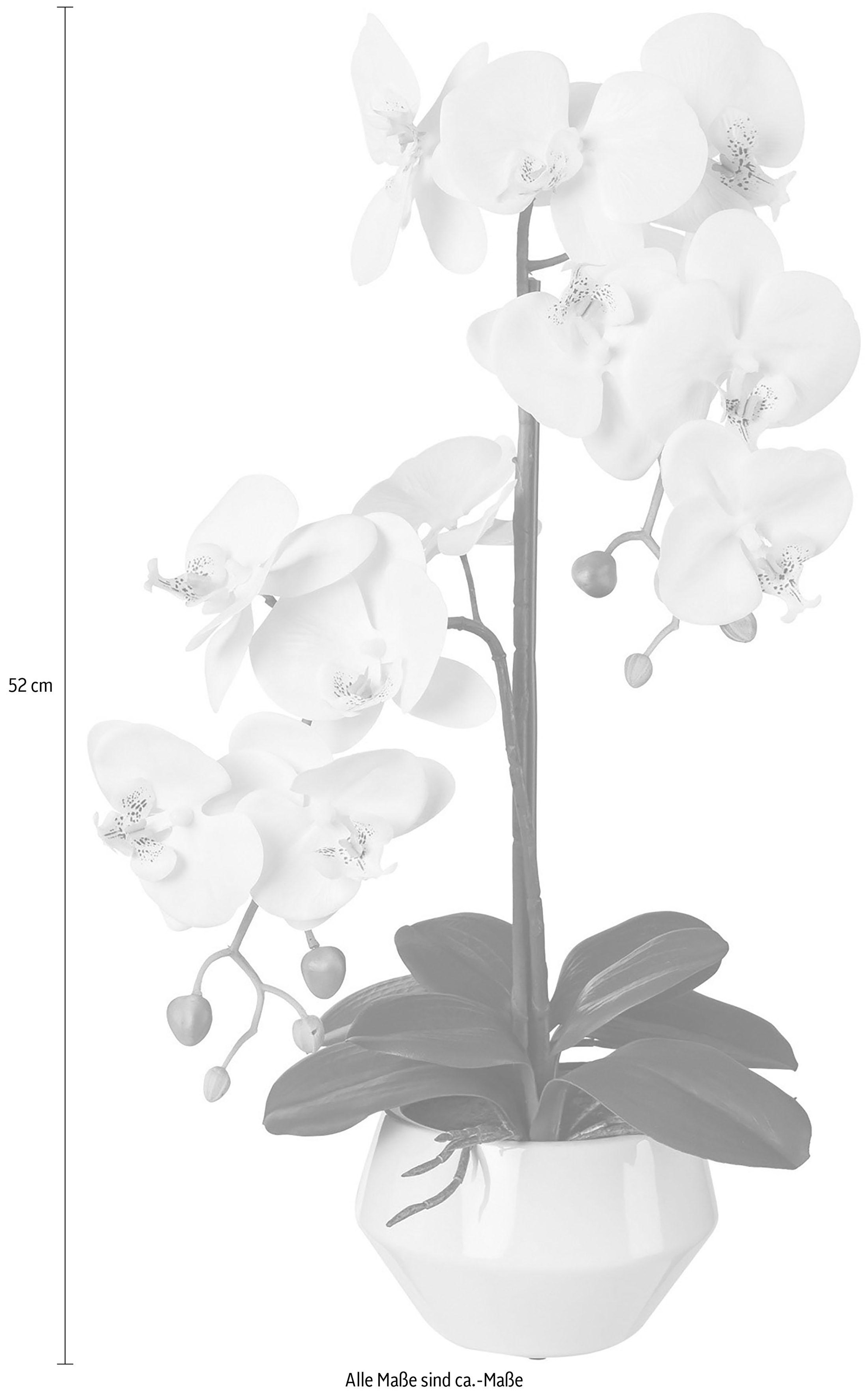 Creativ green Plante artificielle