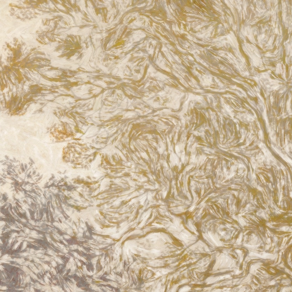 Komar Papier peint photo »Vlies Fototapete - Herbstwald - Grösse 350 x 250 cm« Motif | imprimé lisse