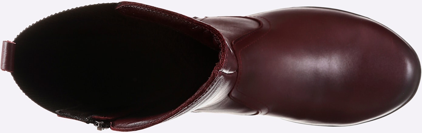 Gemini Bottes