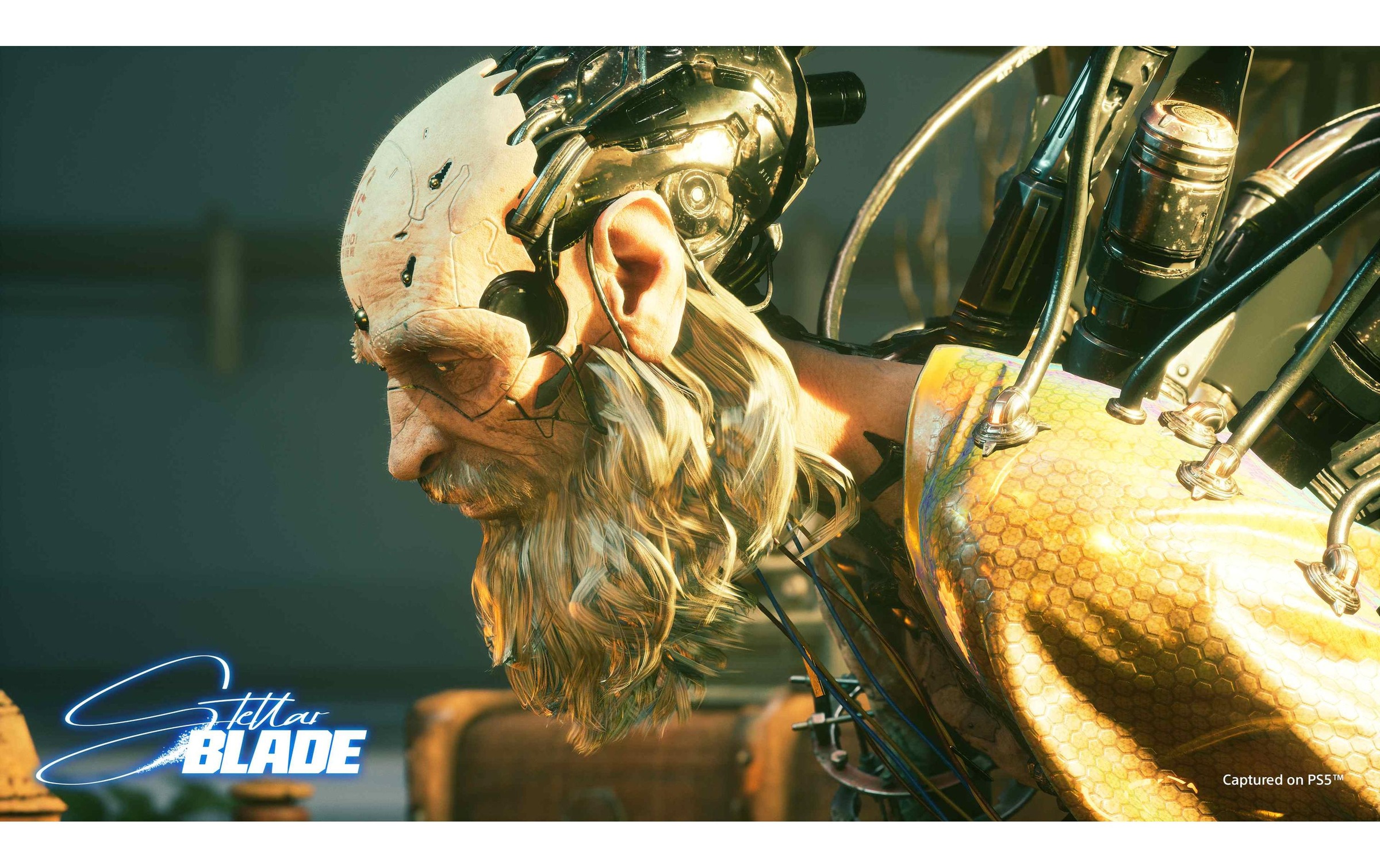 Sony Logiciel de jeu »Stellar Blade« PlayStation 5