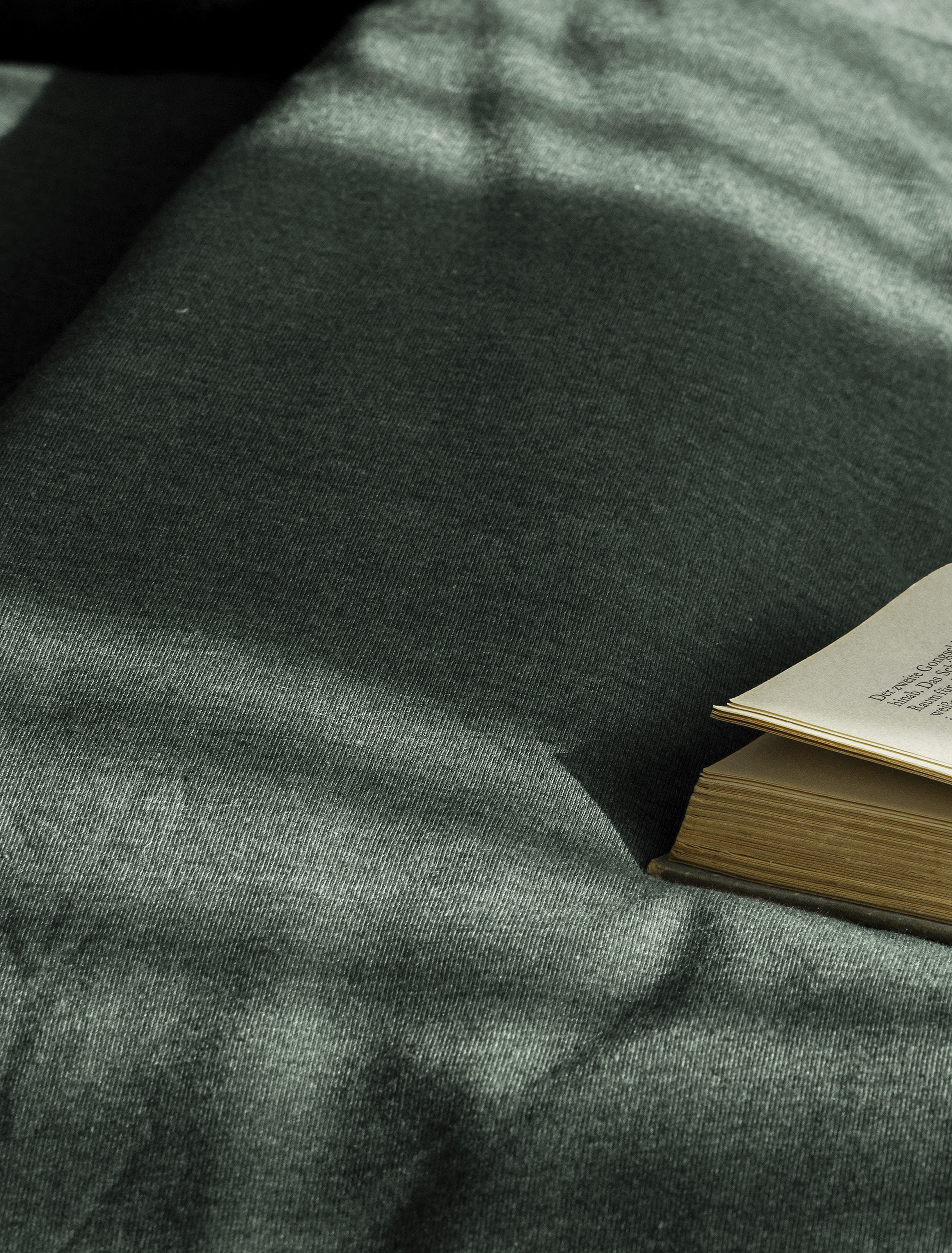 BIERBAUM Linge de lit »4135« 2 cuis tlg. Jersey-Melange, 100 % Baumwolle, bügelfrei