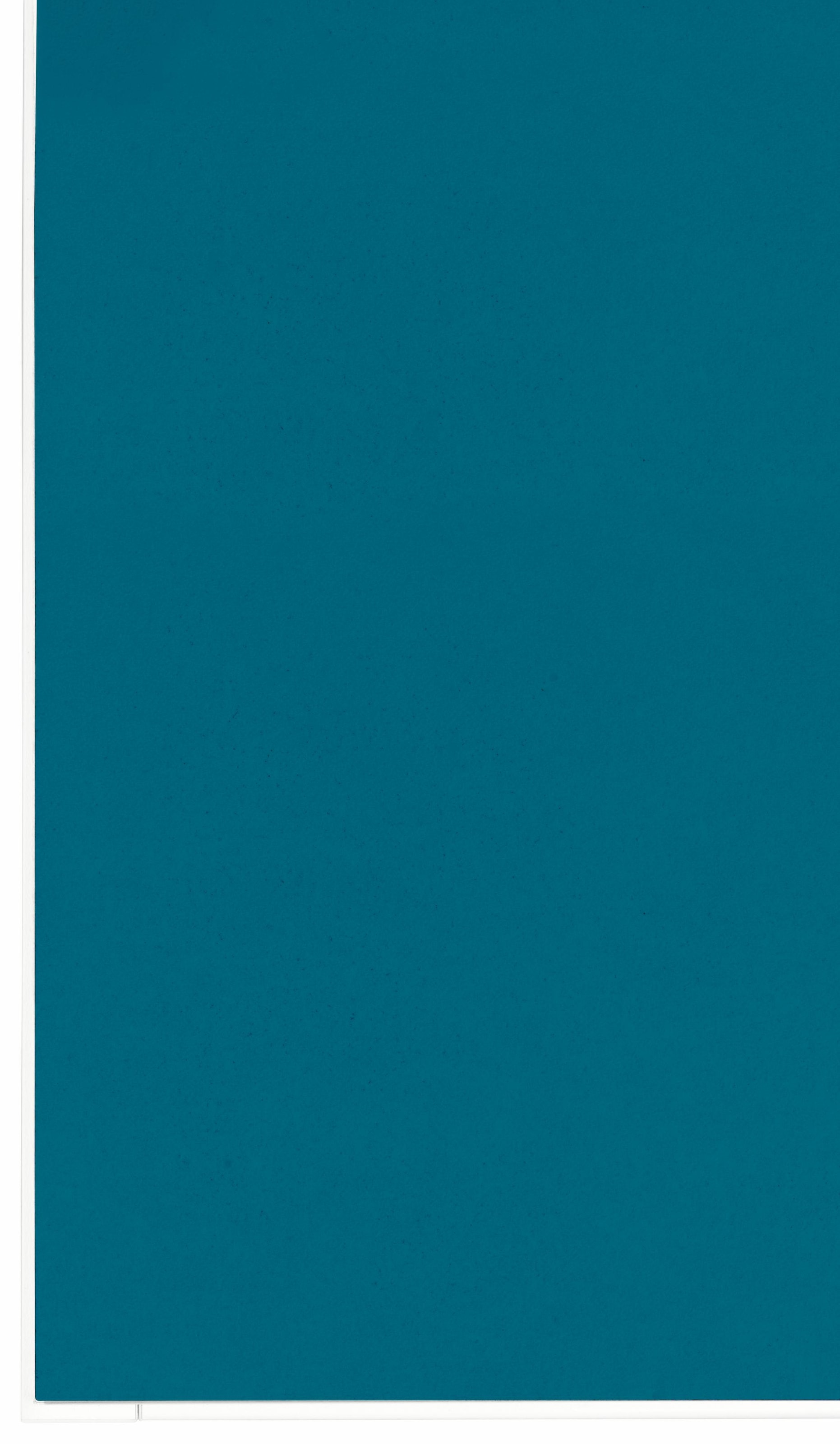 wiho Küchen Hängeschrank »Flexi« Breite 60 cm