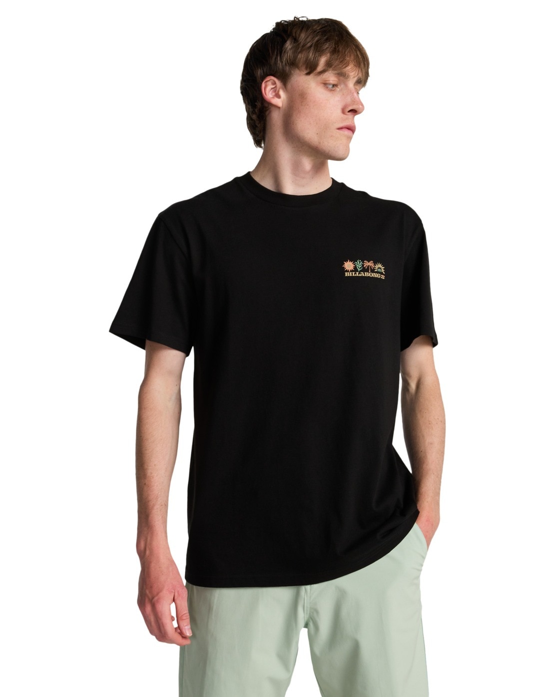 Billabong T-shirt »Segment«
