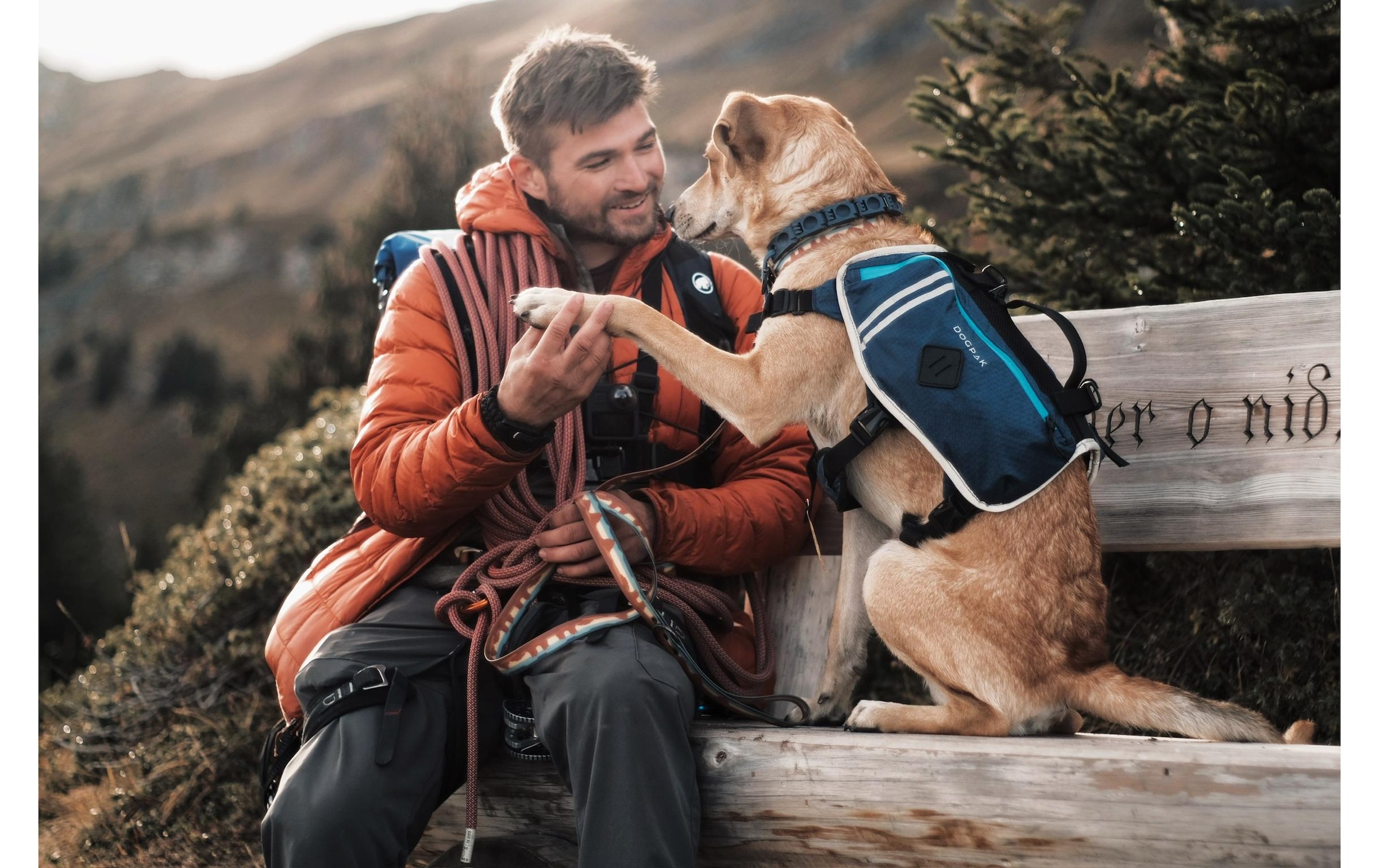   Harnais pour chien »DOGPAK Moab Lite Hunderucksack S« Rucksack und Wandergeschirr für Hunde aus «Die Höhle der Löwen»