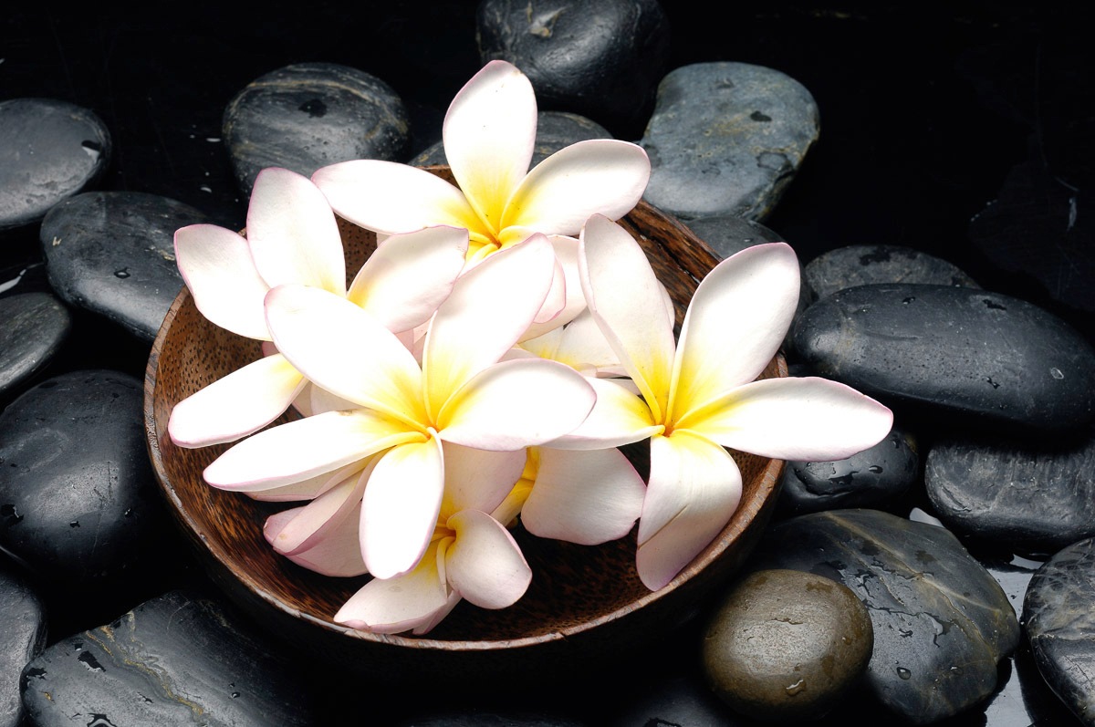 Papermoon Fototapete »Blumen mit Steinen«