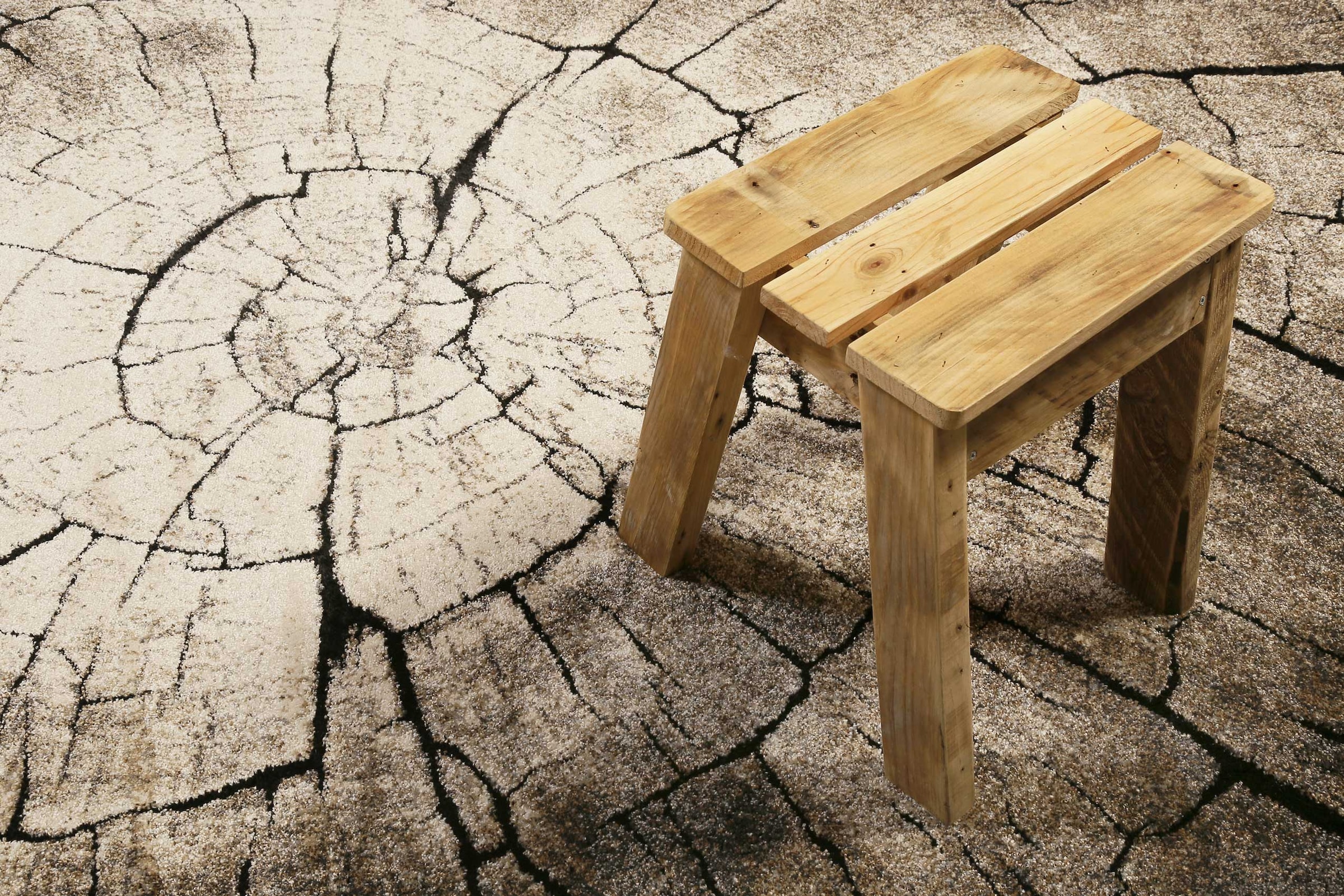 Wecon home Tapis »Wild Oak« Rectangulaire 13 mm Höhe Holz Optik, Wohnzimmer