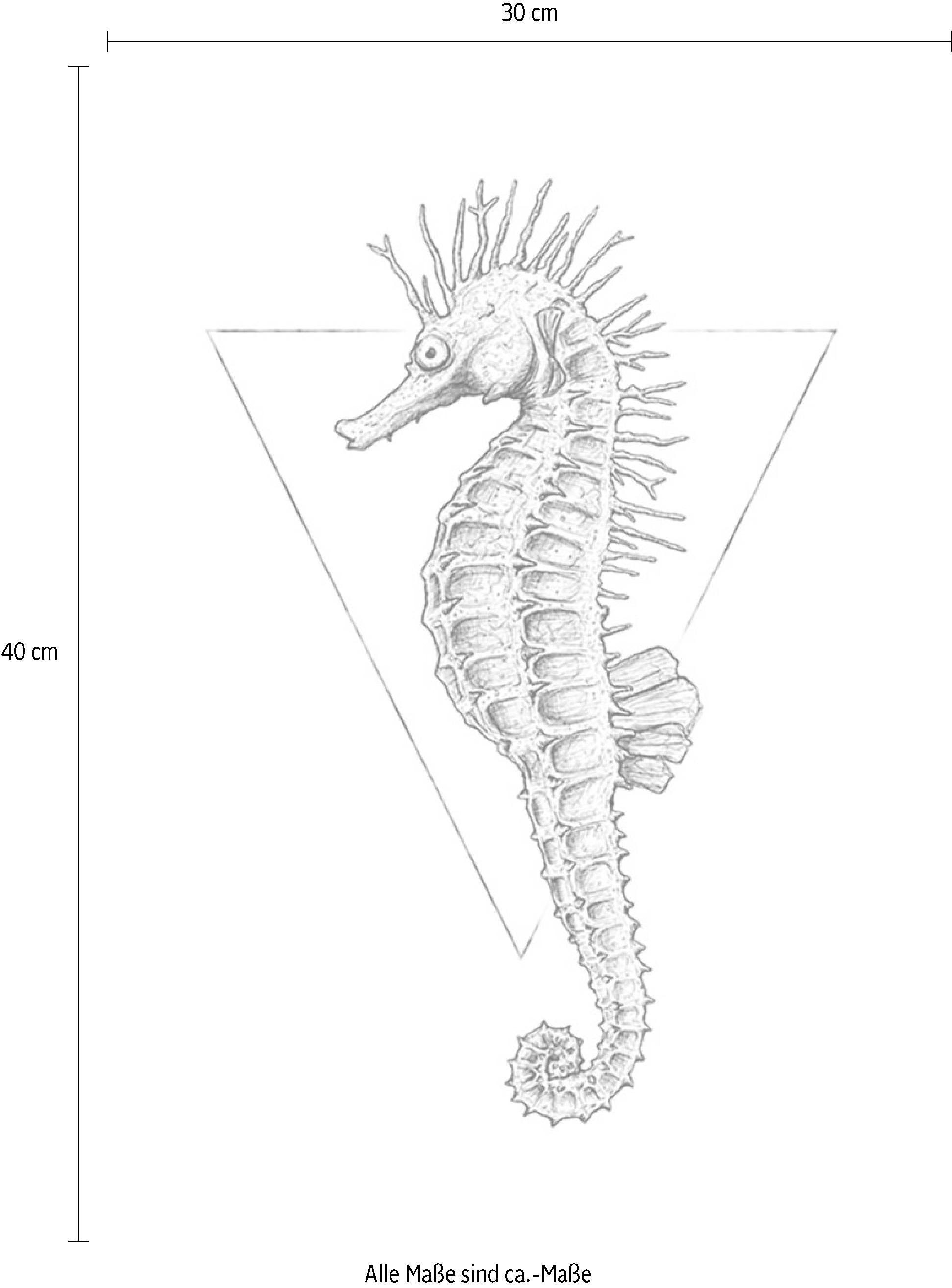 Komar Image »Sea Horse White« Animaux 1 cuis tlg. tableau mural décoratif - sans cadre