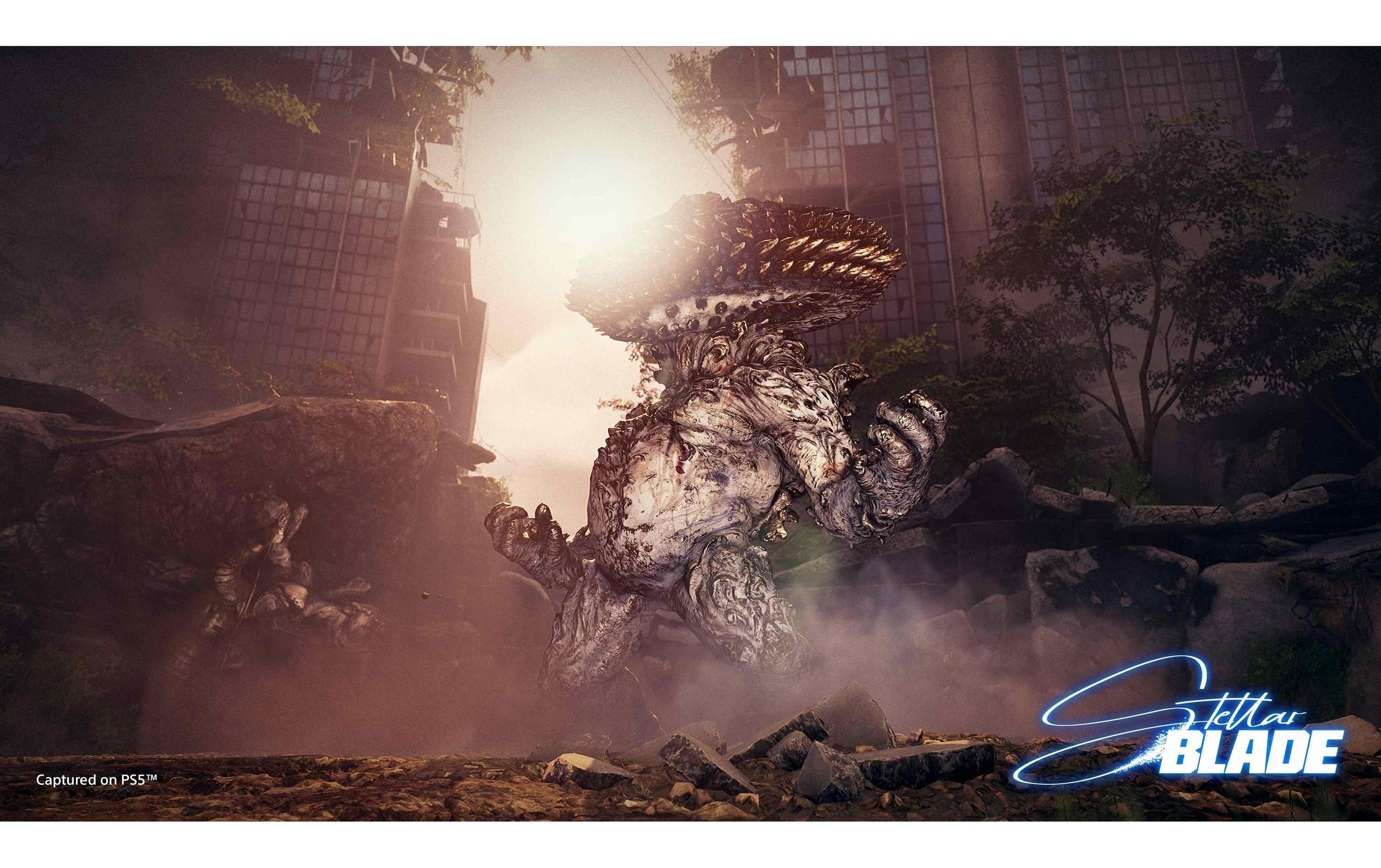 Sony Logiciel de jeu »Stellar Blade« PlayStation 5