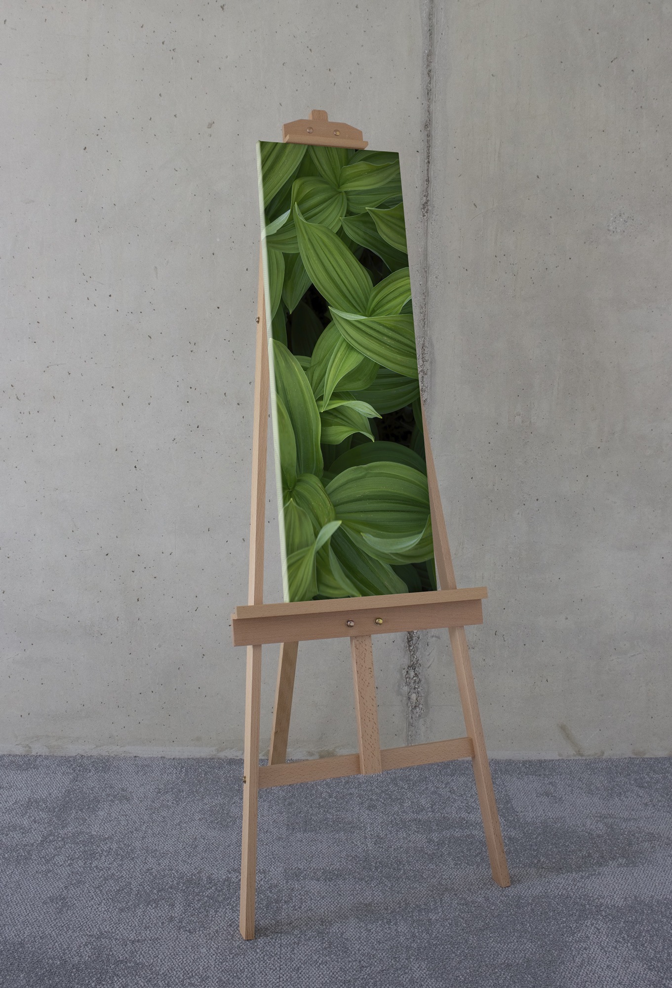 Komar Leinwandbild »Ancilla - Grösse 30 x 90 cm« Natur 1 Stk. tlg. Keilrahmenbild mi Echtholzrahmen