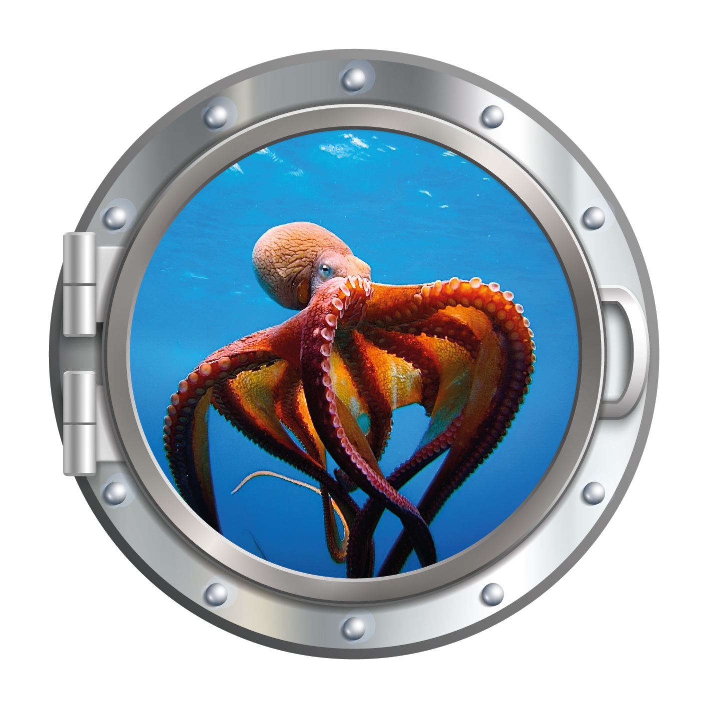 queence Autocollants muraux »3D Bullauge Illusion Tintenfisch Korallen 40x40 cm« trou mural autocollant sous-marin