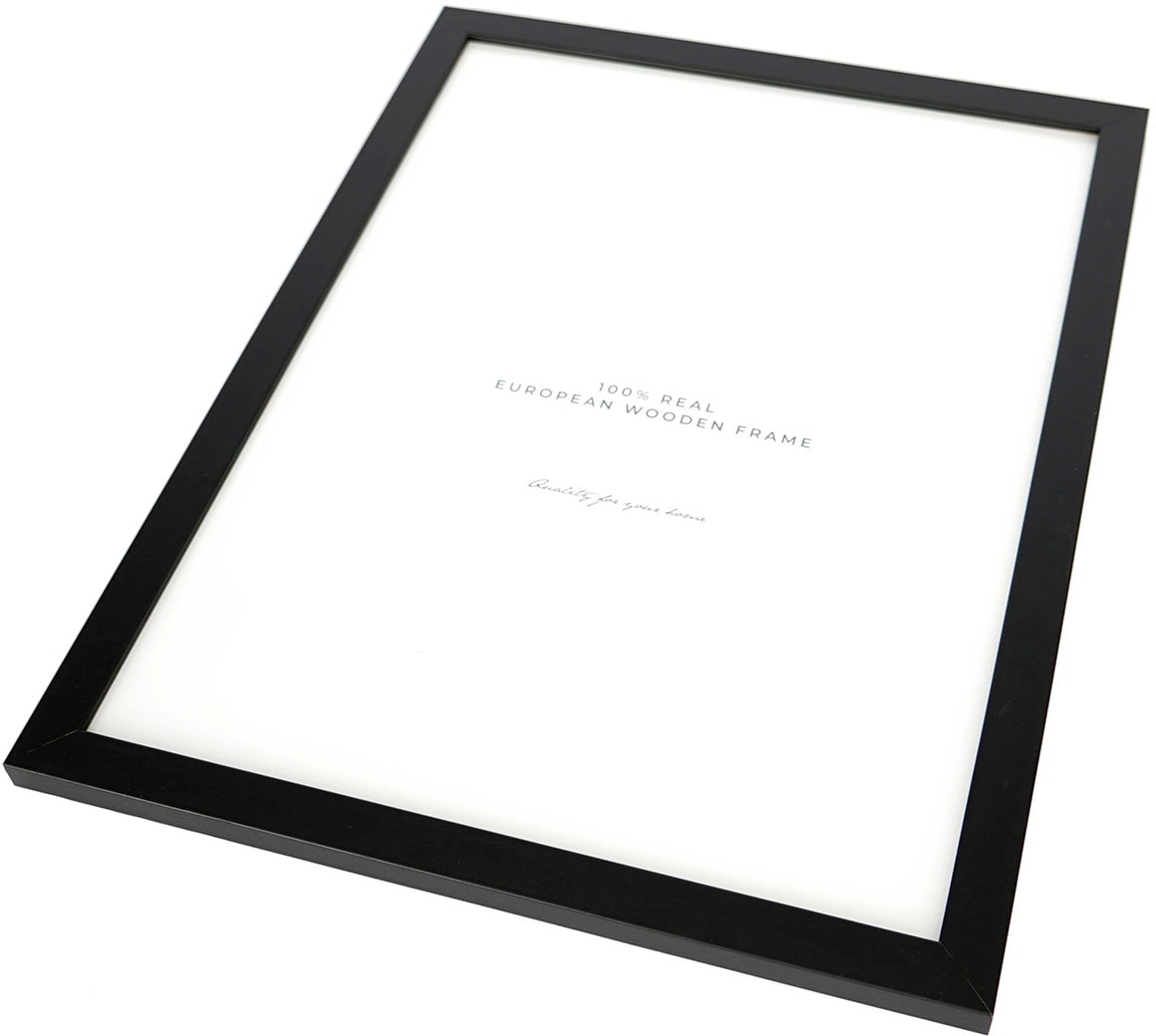 queence Bild »Set Heidl«, Abstrakt-Regenbogen-Pflanzen-Pflanzenbilder, (1 St.), gerahmt